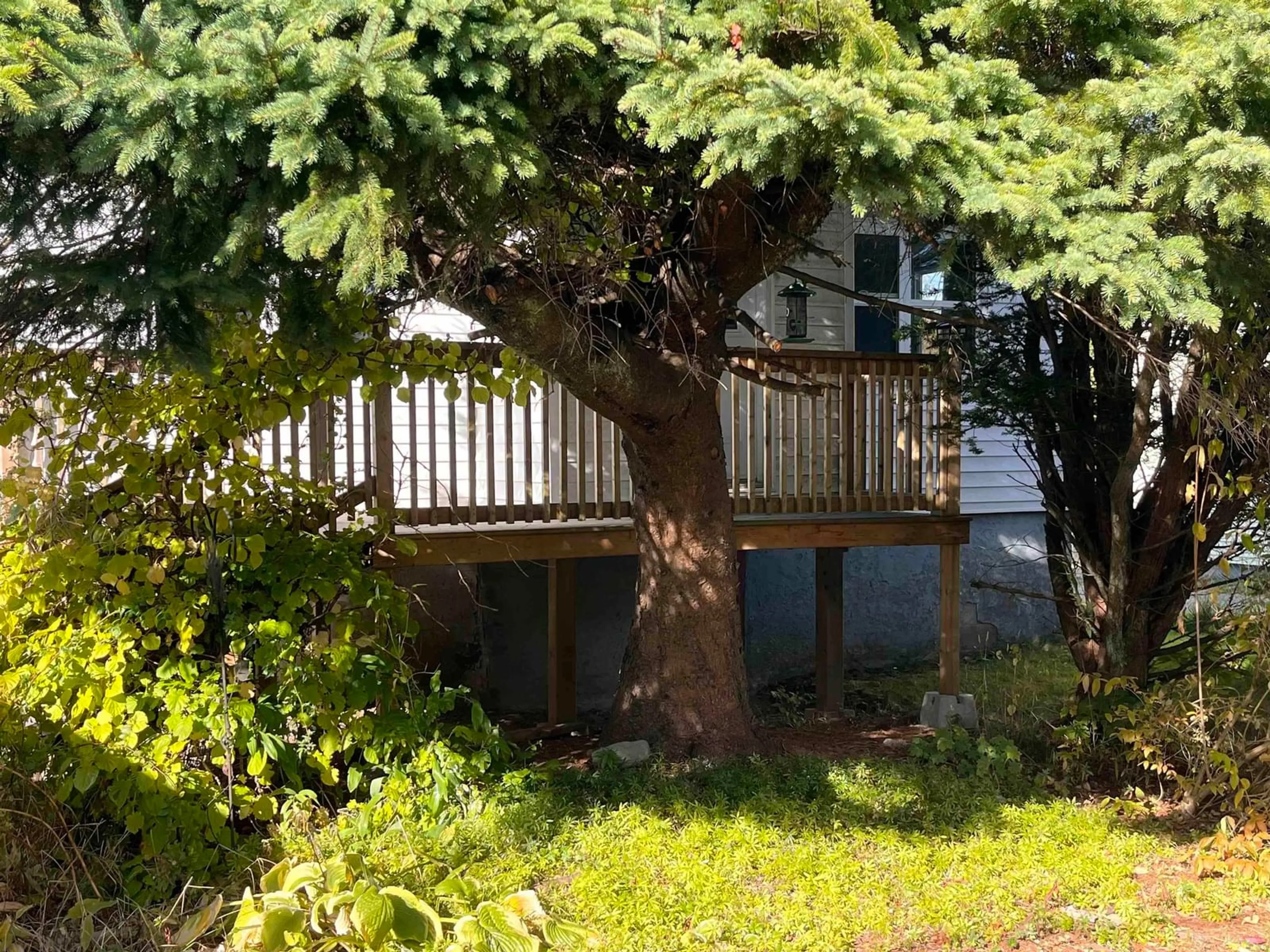 A pic from outside/outdoor area/front of a property/back of a property/a pic from drone, forest/trees view for 155 Old Sambro Rd, Halifax Nova Scotia B3R 1R1