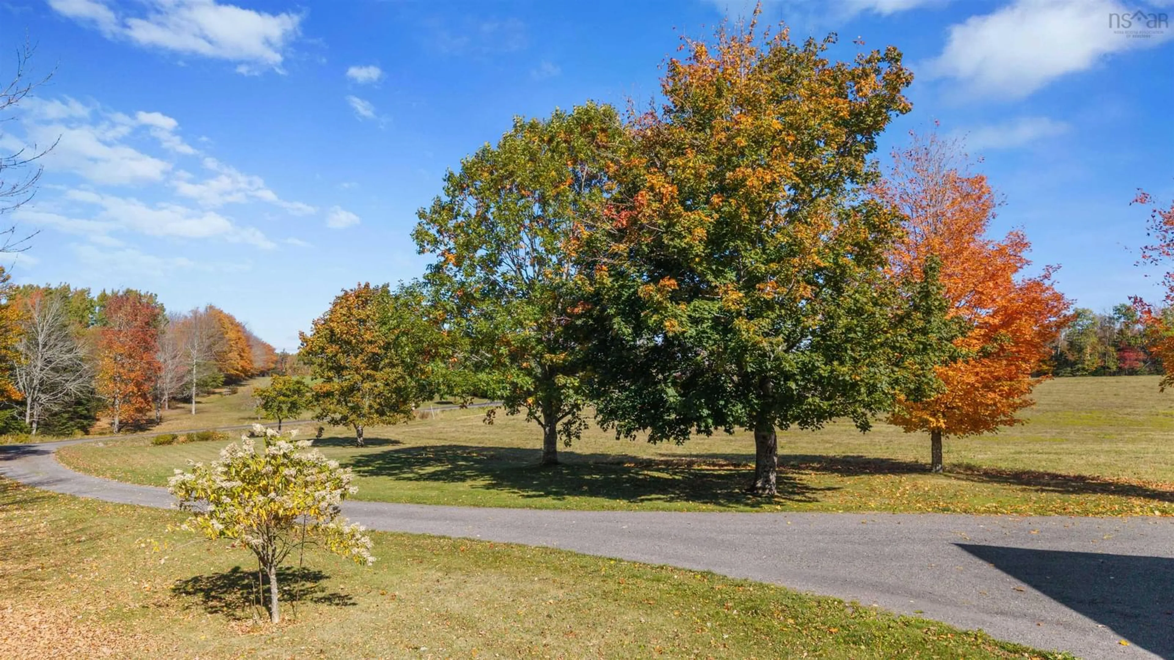 Patio, forest/trees view for 368 Heathbell Rd, Heathbell Nova Scotia B0K 1R0