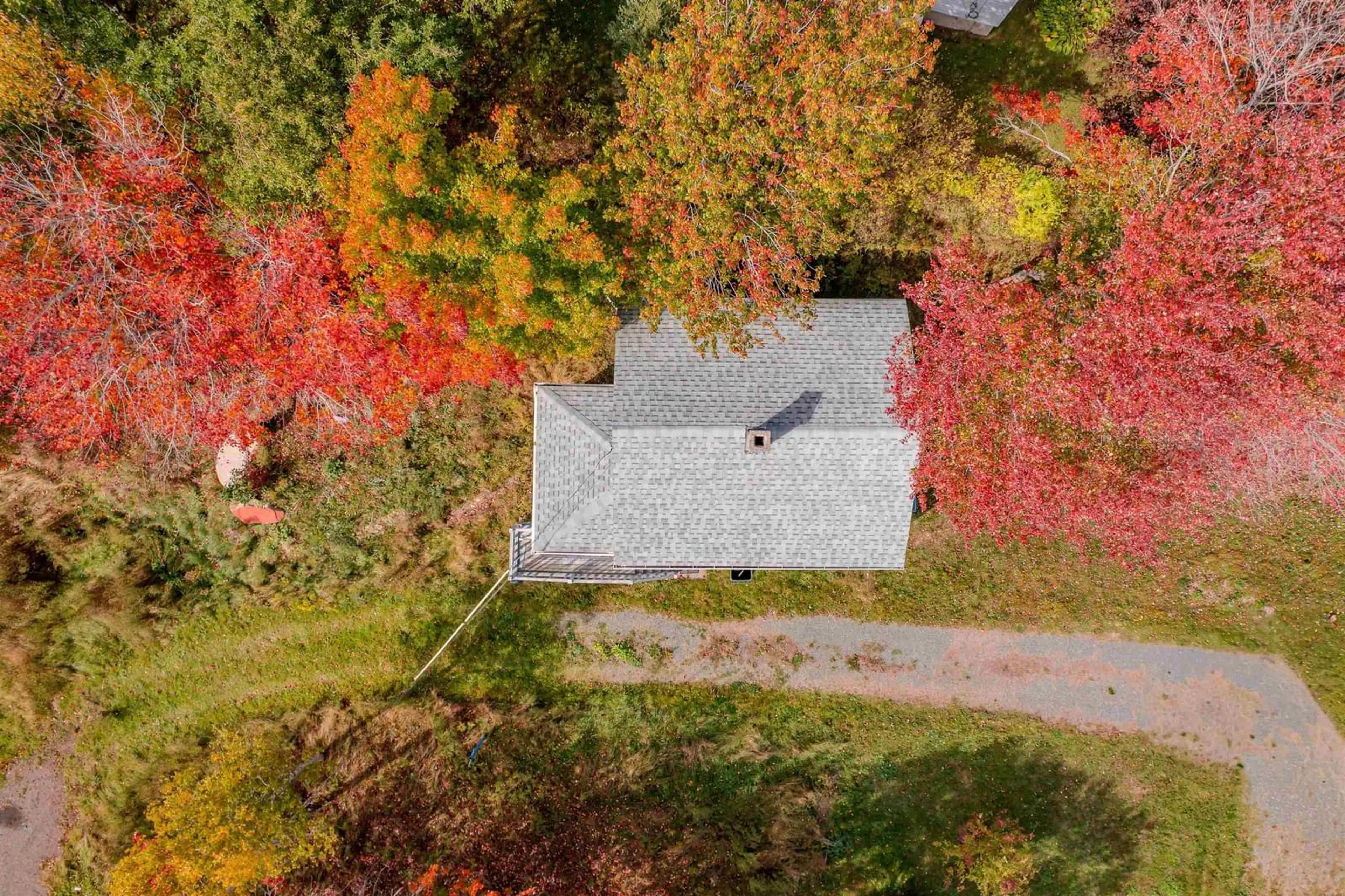 A pic from outside/outdoor area/front of a property/back of a property/a pic from drone, street for 1284 George St, Mira Road Nova Scotia B1P 1N2