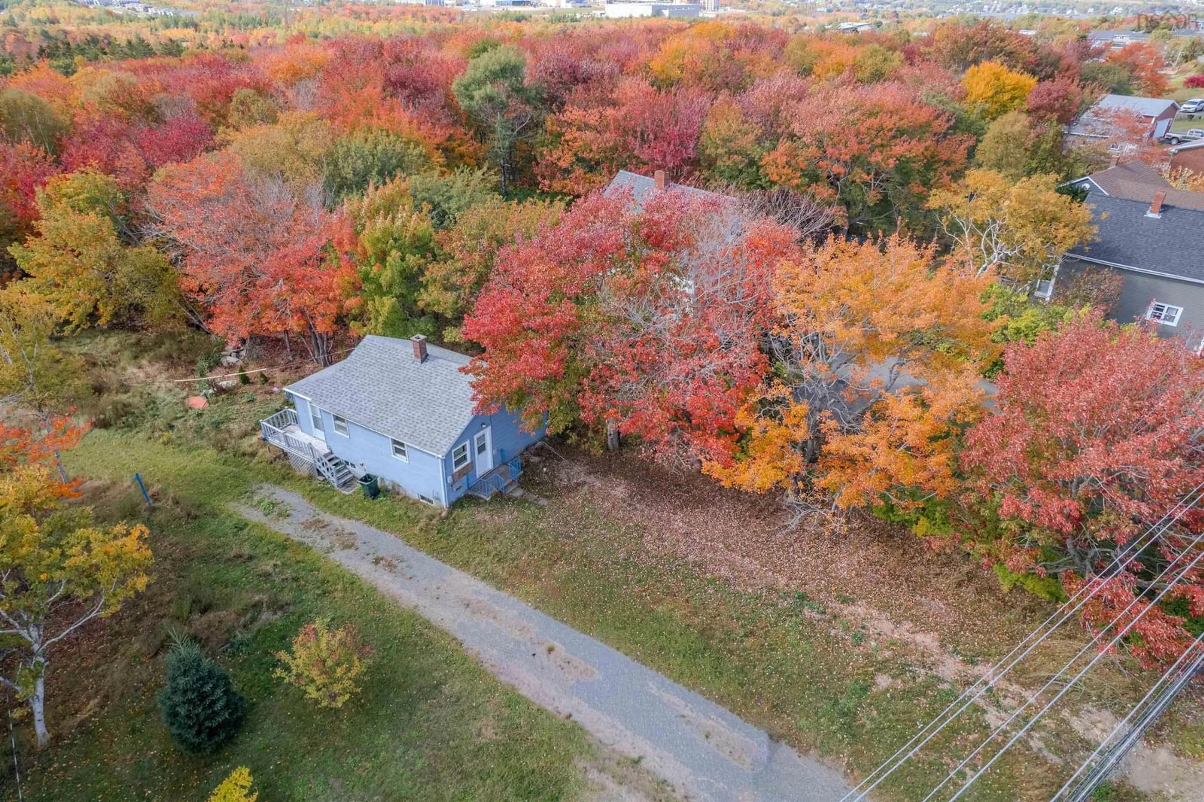 A pic from outside/outdoor area/front of a property/back of a property/a pic from drone, forest/trees view for 1284 George St, Mira Road Nova Scotia B1P 1N2