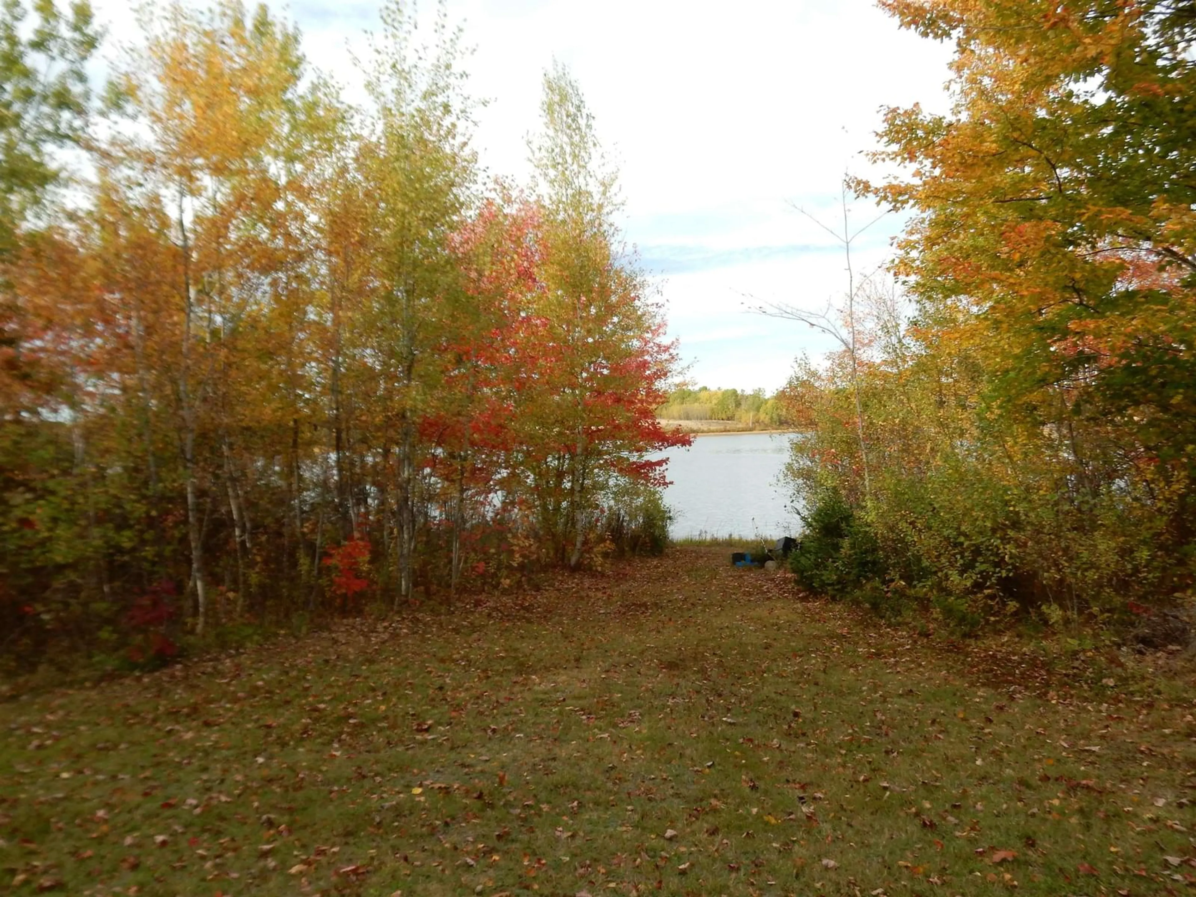 Unknown for Highway 6, Waldegrave Nova Scotia B0K 1V0