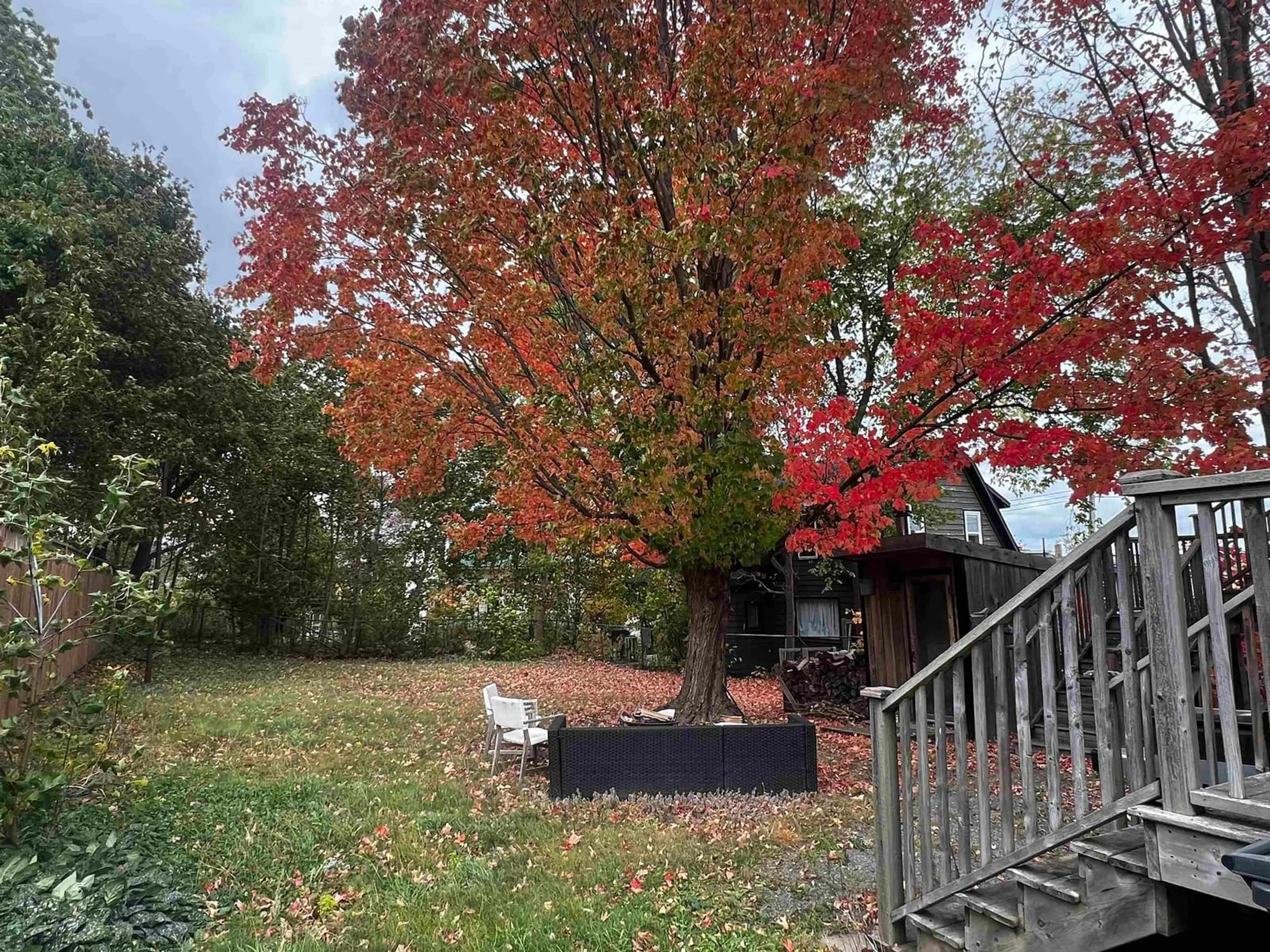 Patio, forest/trees view for 14 Allan Ave, Stellarton Nova Scotia B0K 1S0