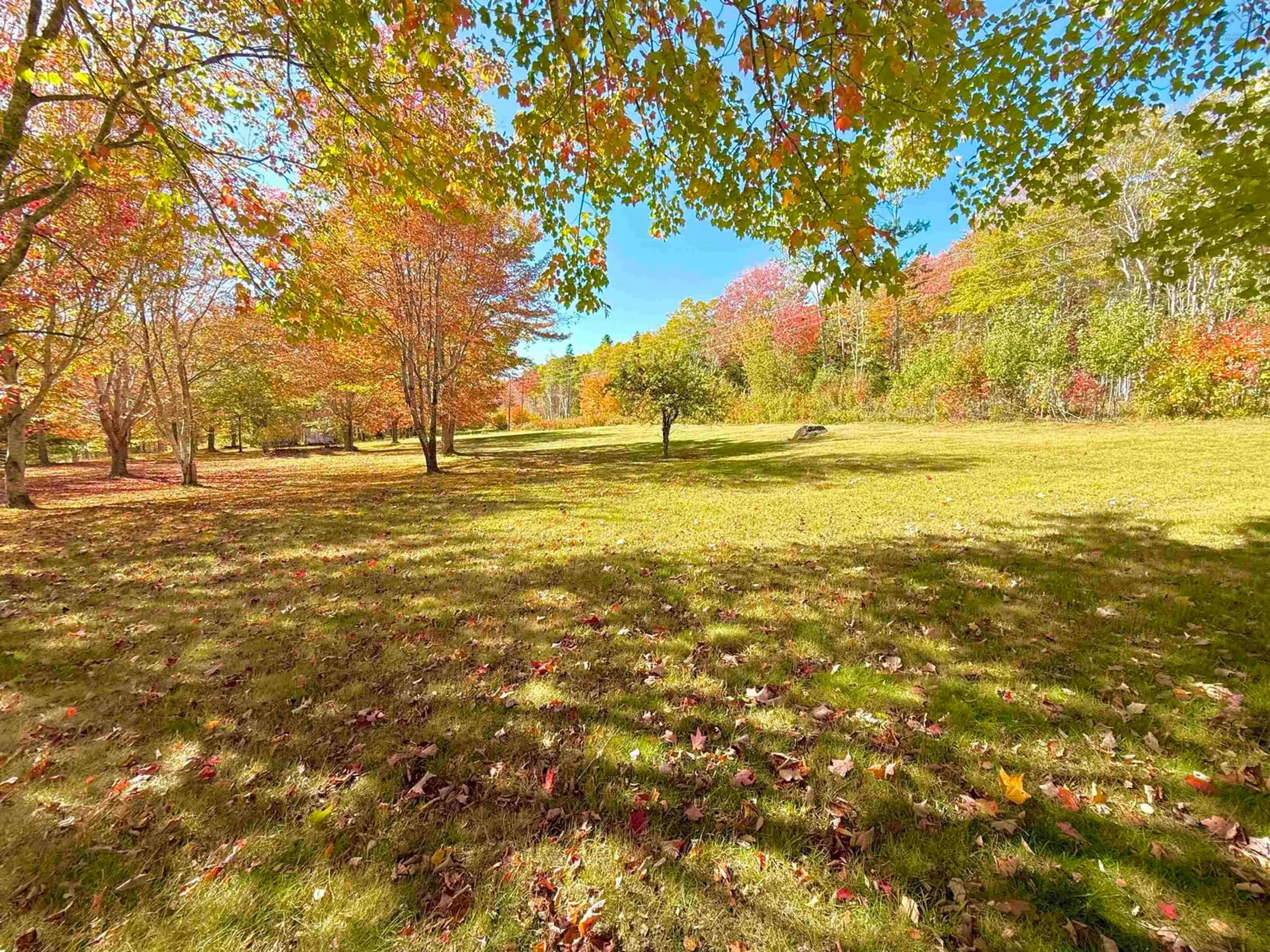 A pic from outside/outdoor area/front of a property/back of a property/a pic from drone, forest/trees view for 10797 Hwy 105 Hwy, Aberdeen Nova Scotia B0E 3M0