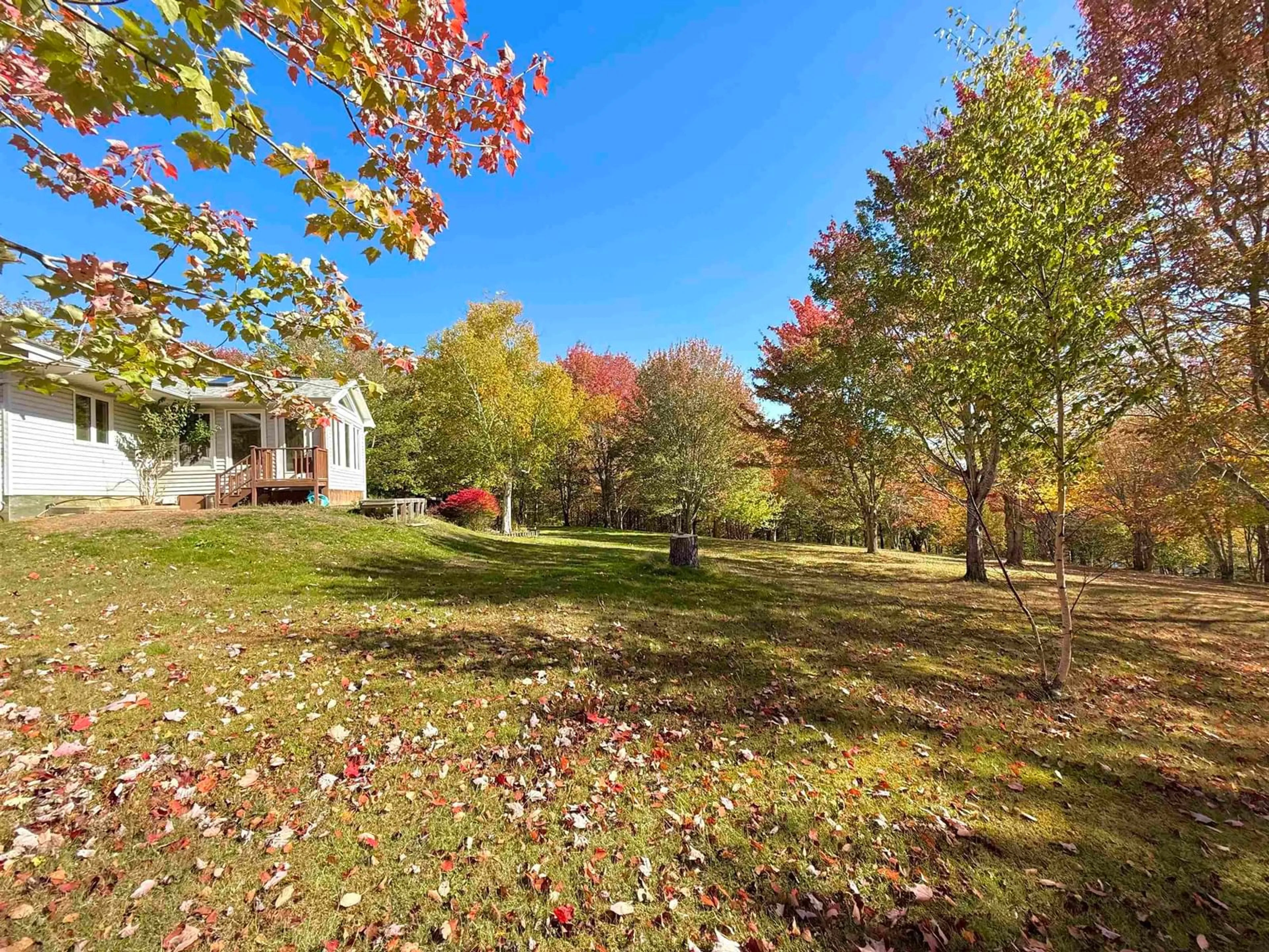 A pic from outside/outdoor area/front of a property/back of a property/a pic from drone, forest/trees view for 10797 Hwy 105 Hwy, Aberdeen Nova Scotia B0E 3M0
