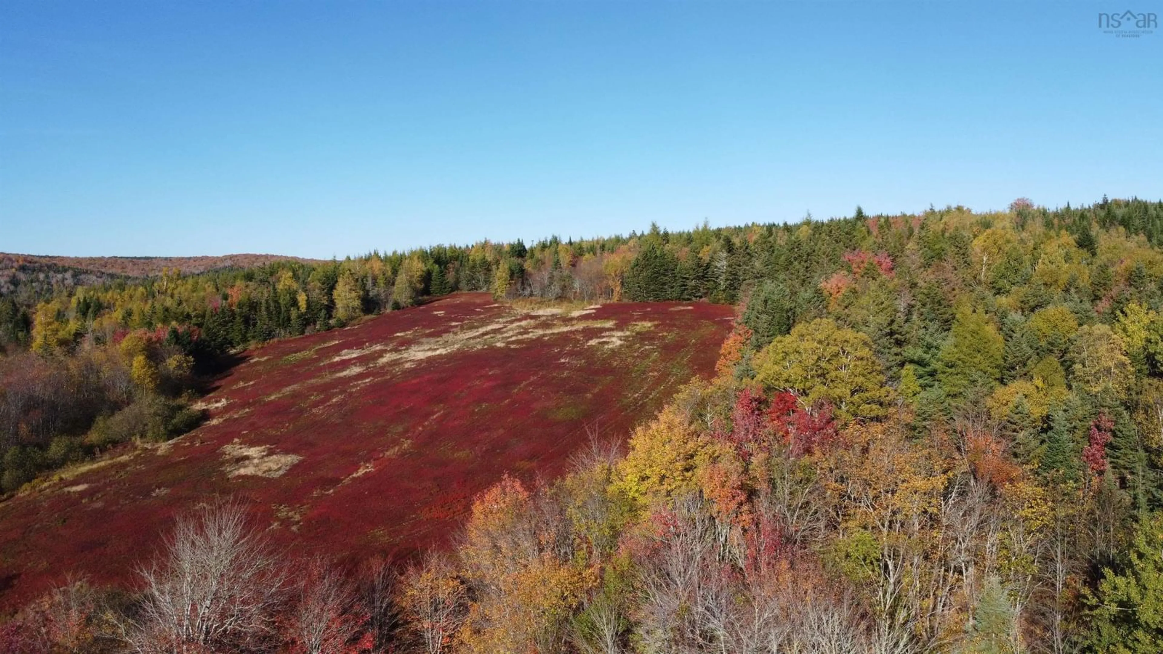 A pic from outside/outdoor area/front of a property/back of a property/a pic from drone, forest/trees view for 414 Sherbrooke Rd, East River St. Marys Nova Scotia B2H 5C8