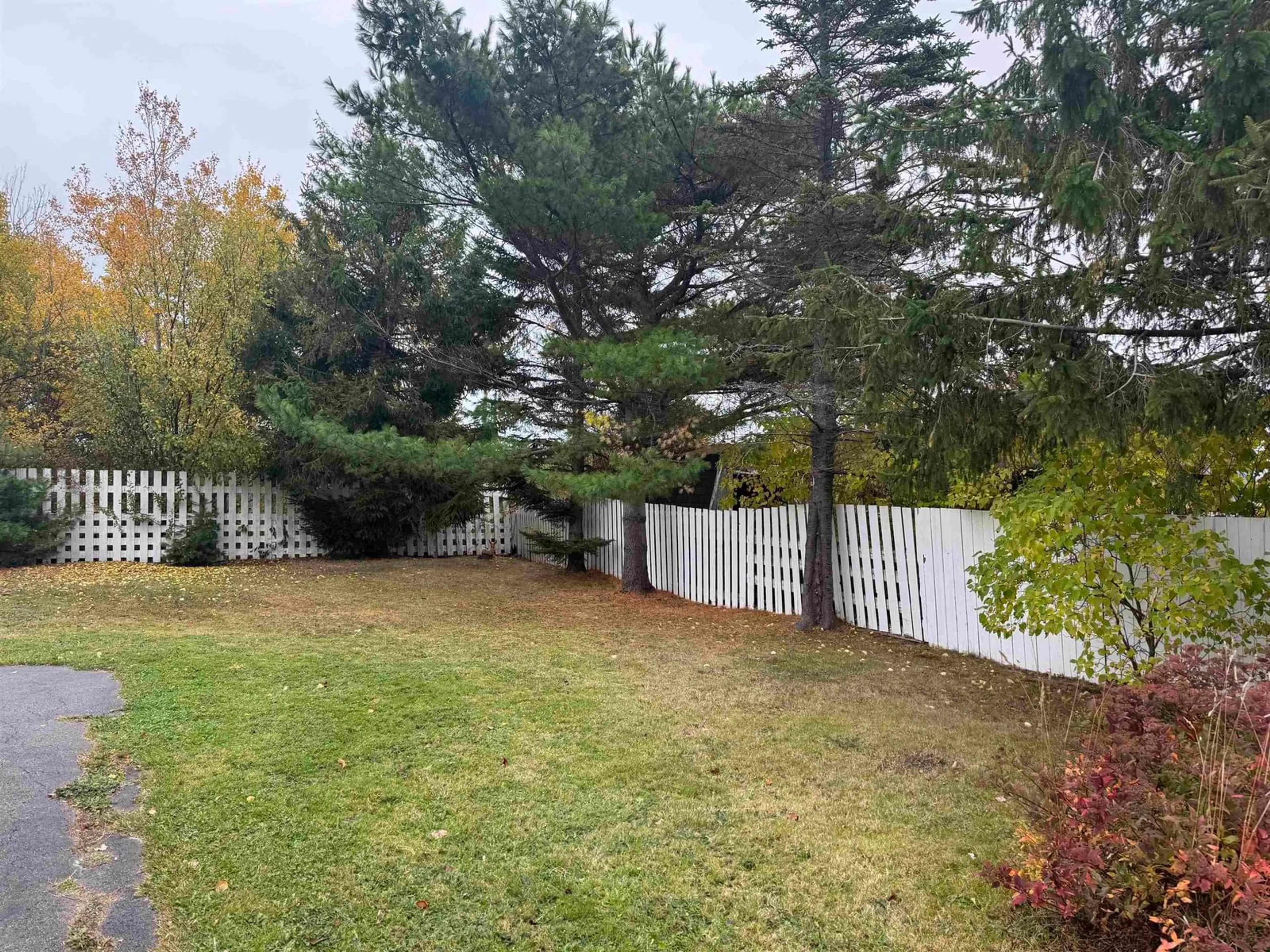 A pic from outside/outdoor area/front of a property/back of a property/a pic from drone, forest/trees view for 240 Legatto St, Sydney Mines Nova Scotia B1V 2T1