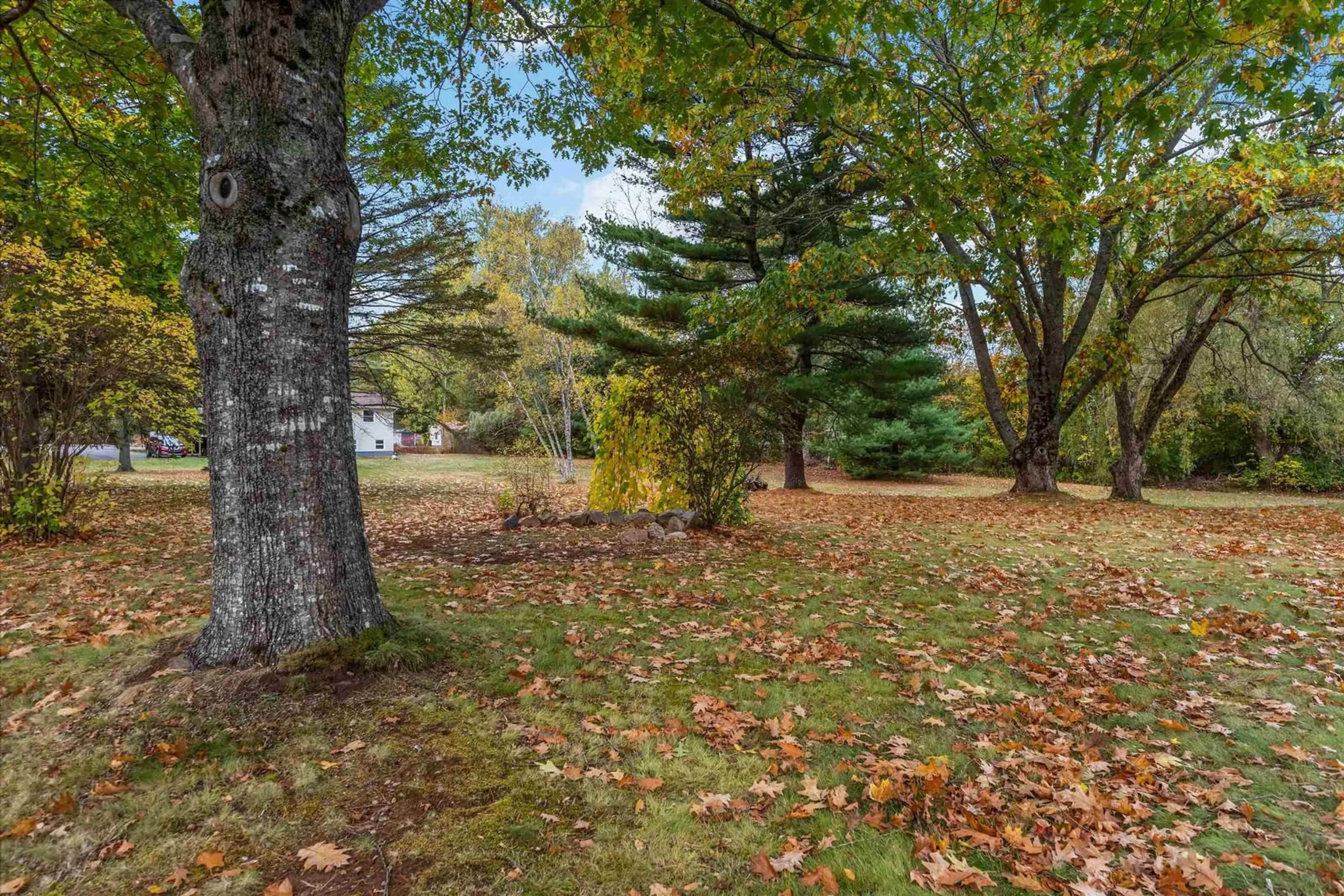 Patio, forest/trees view for 1011 Lone Pine Dr, Centreville Nova Scotia B0P 1J0