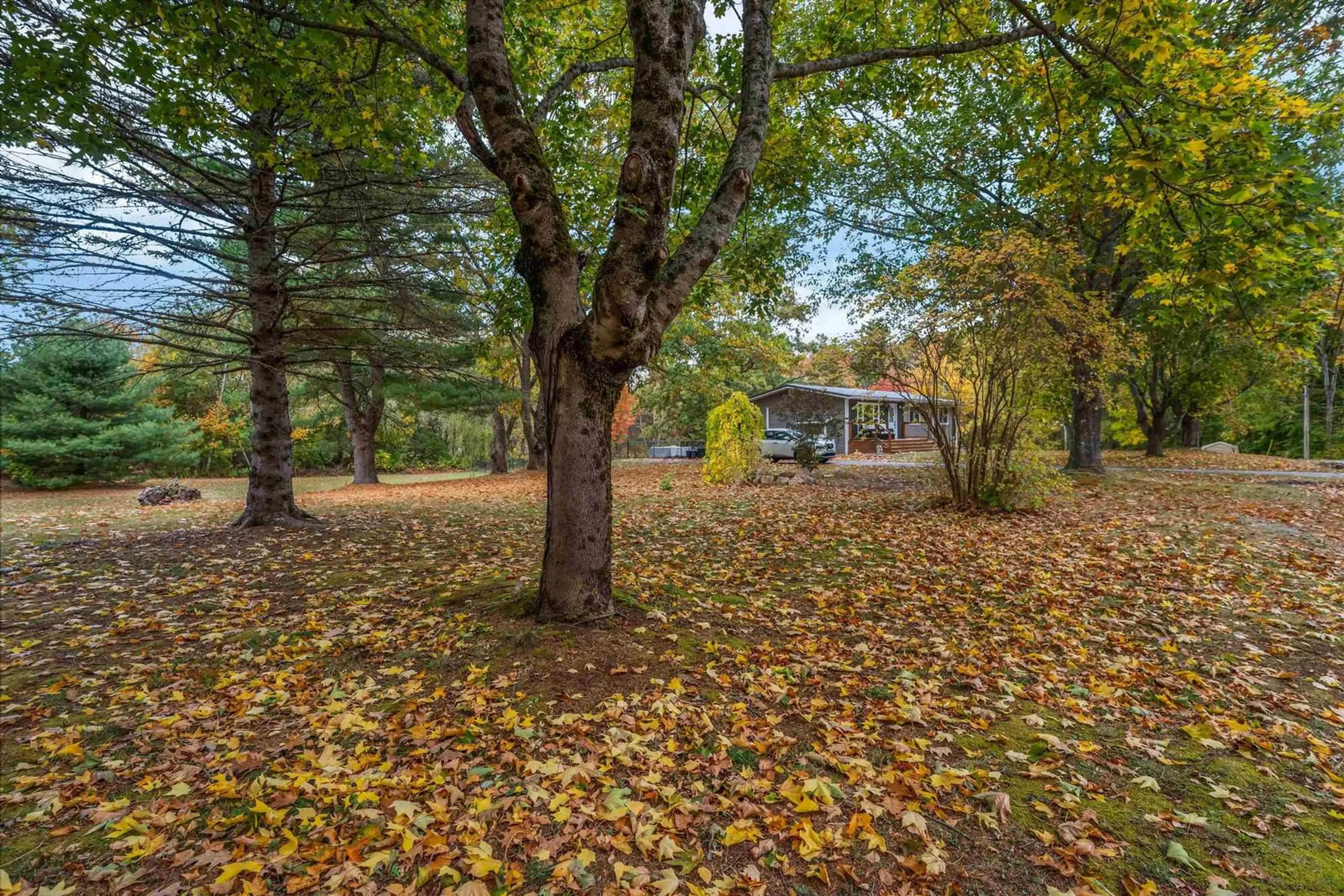 Unknown for 1011 Lone Pine Dr, Centreville Nova Scotia B0P 1J0