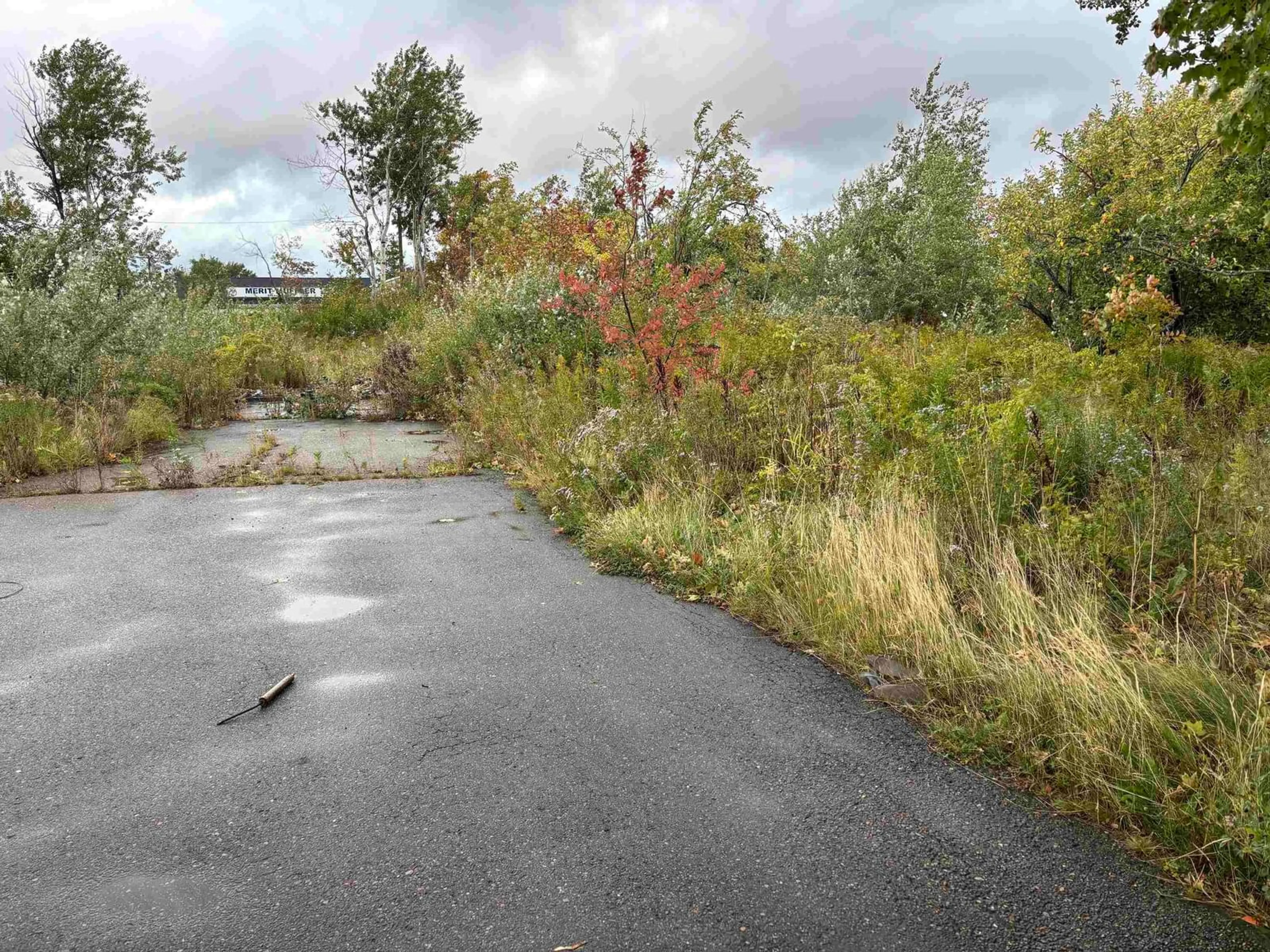 Unknown for 161 Welton Street, Sydney Nova Scotia B1P 5R9