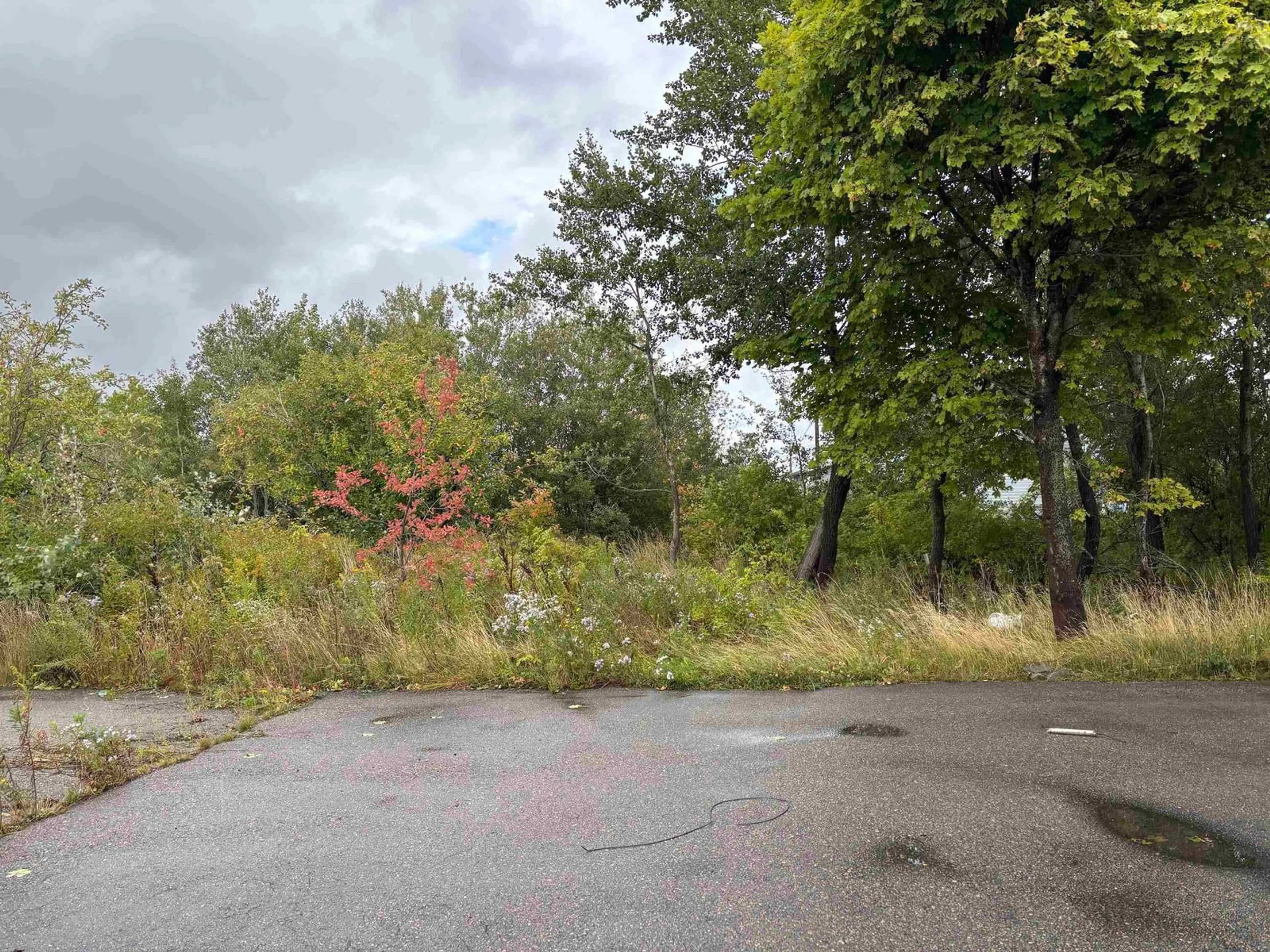 Blurry image for 161 Welton Street, Sydney Nova Scotia B1P 5R9