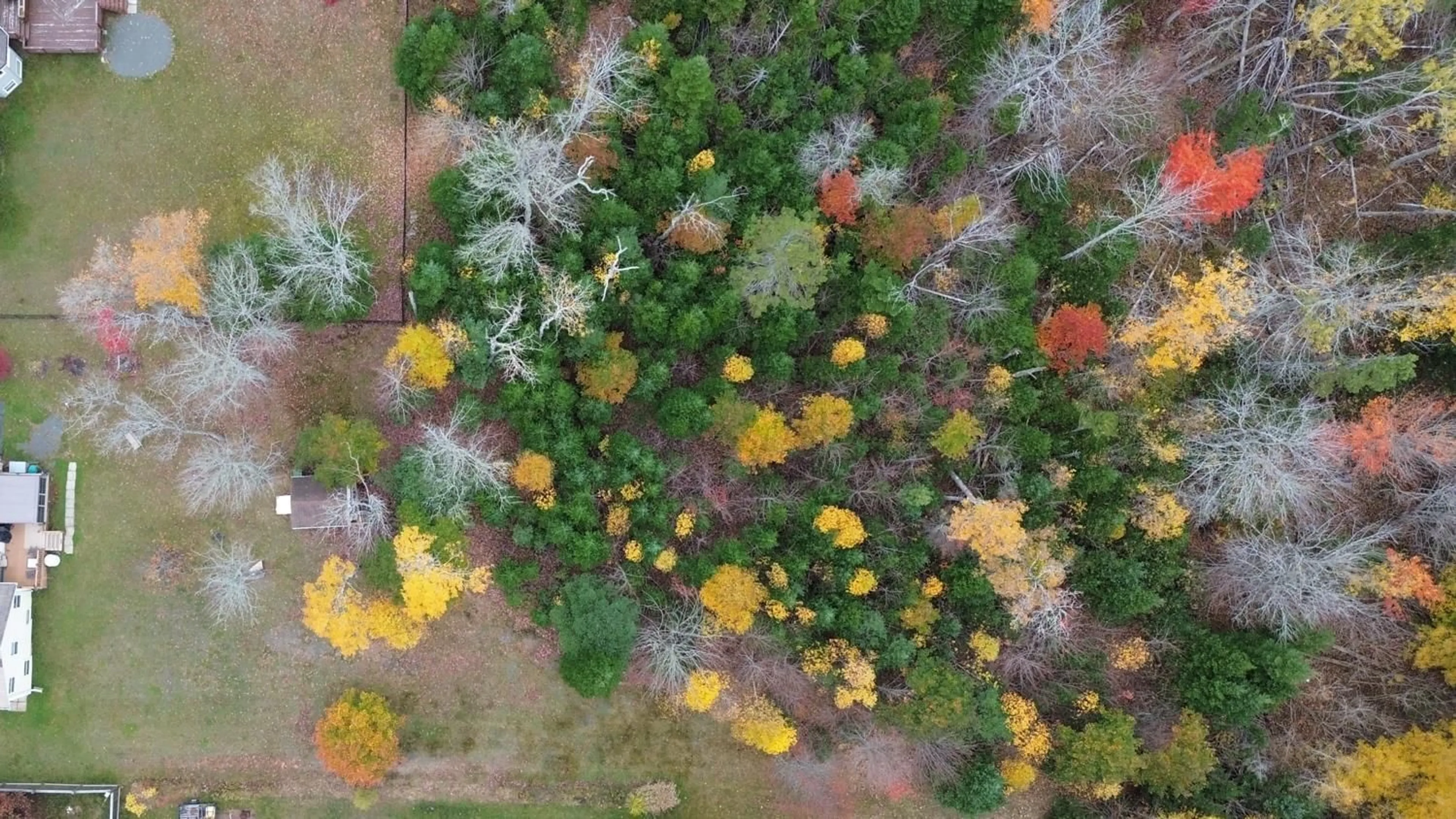 A pic from outside/outdoor area/front of a property/back of a property/a pic from drone, forest/trees view for 111 Parkside Dr, Valley Nova Scotia B6L 4A6