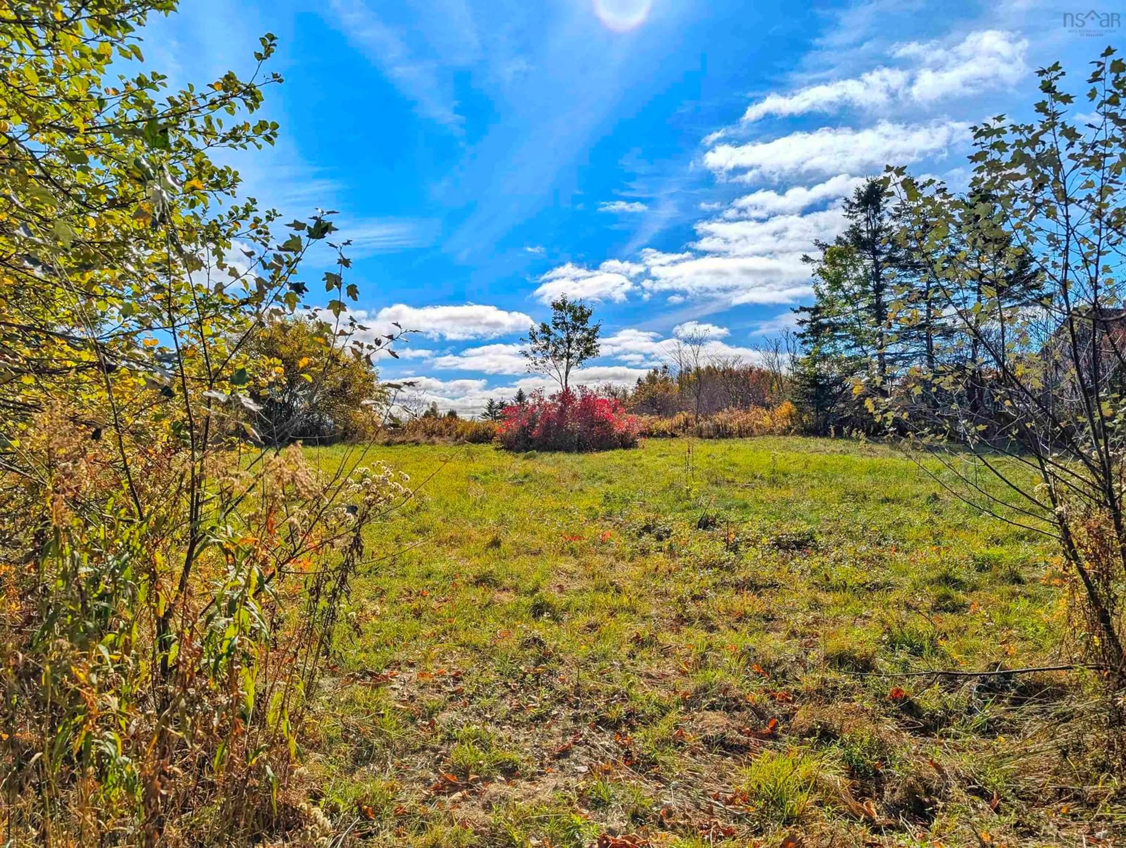 A pic from outside/outdoor area/front of a property/back of a property/a pic from drone, forest/trees view for 246 West Brooklyn Rd, West Brooklyn Nova Scotia B4P 2R3