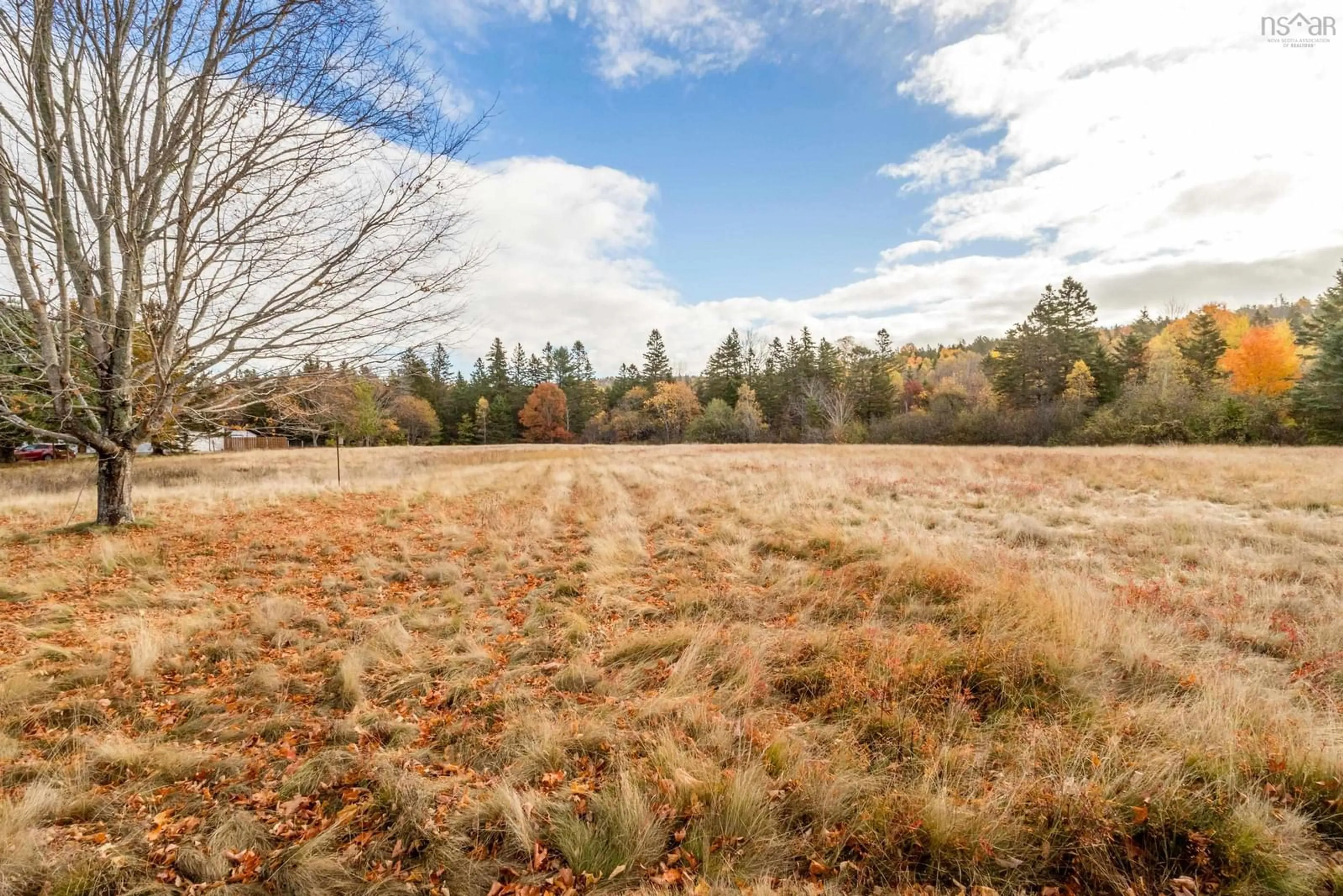 A pic from outside/outdoor area/front of a property/back of a property/a pic from drone, forest/trees view for 1546 Spurr Rd, Round Hill Nova Scotia B0S 1C0