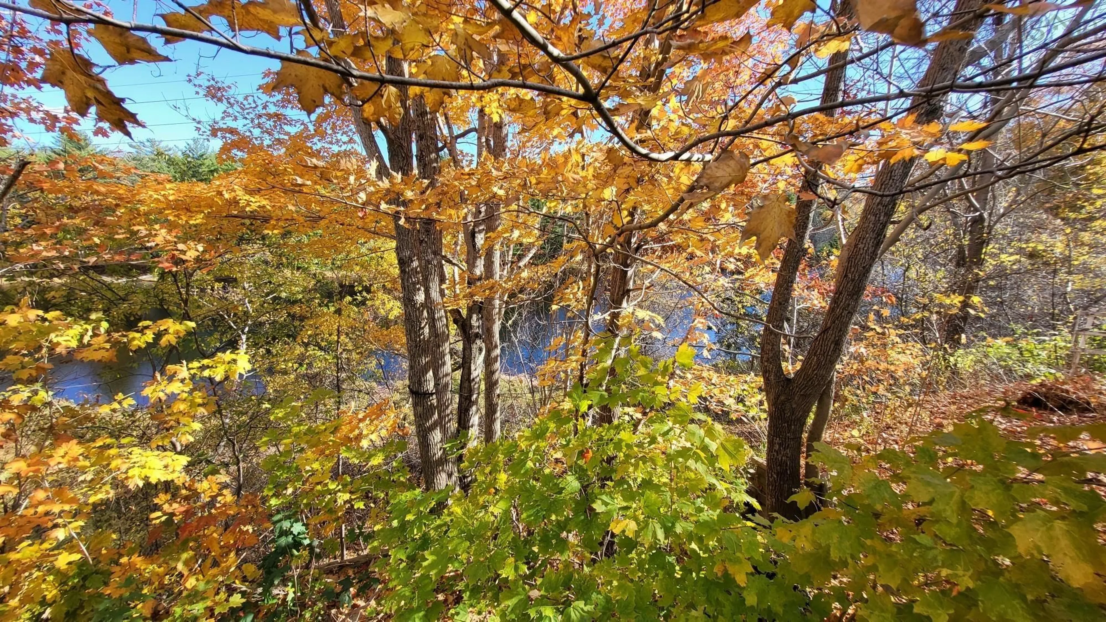 Blurry image for 14 Nictaux Falls, Nictaux Falls Nova Scotia B0S 1P0