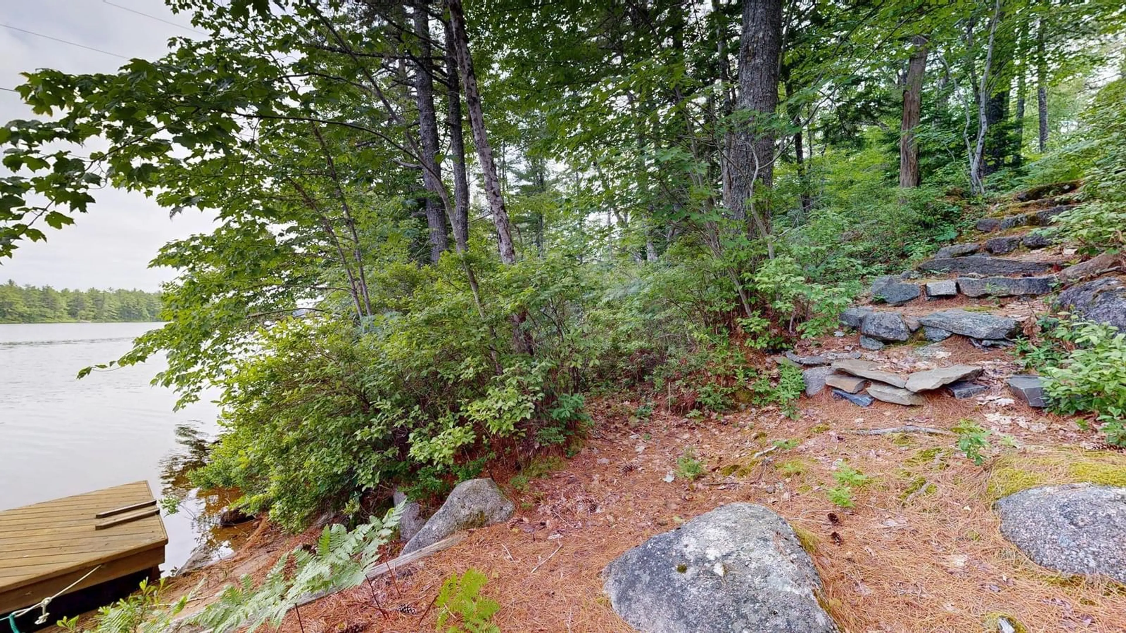 A pic from outside/outdoor area/front of a property/back of a property/a pic from drone, forest/trees view for 190 Chipman Lane, Waterloo Lake Nova Scotia B0S 1P0