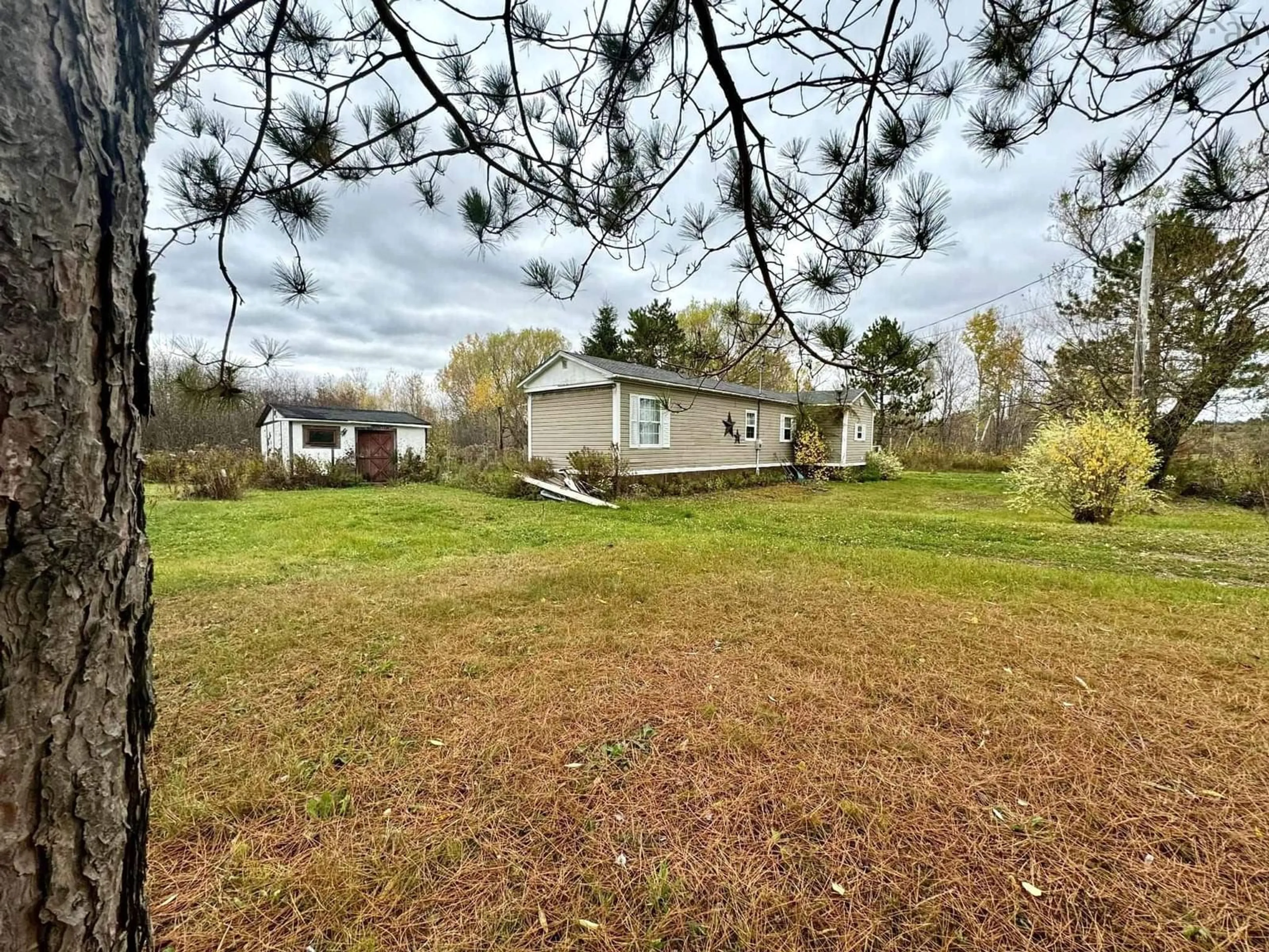 A pic from outside/outdoor area/front of a property/back of a property/a pic from drone, forest/trees view for 269 Chance Harbour Rd, Road Nova Scotia B0K 1X0