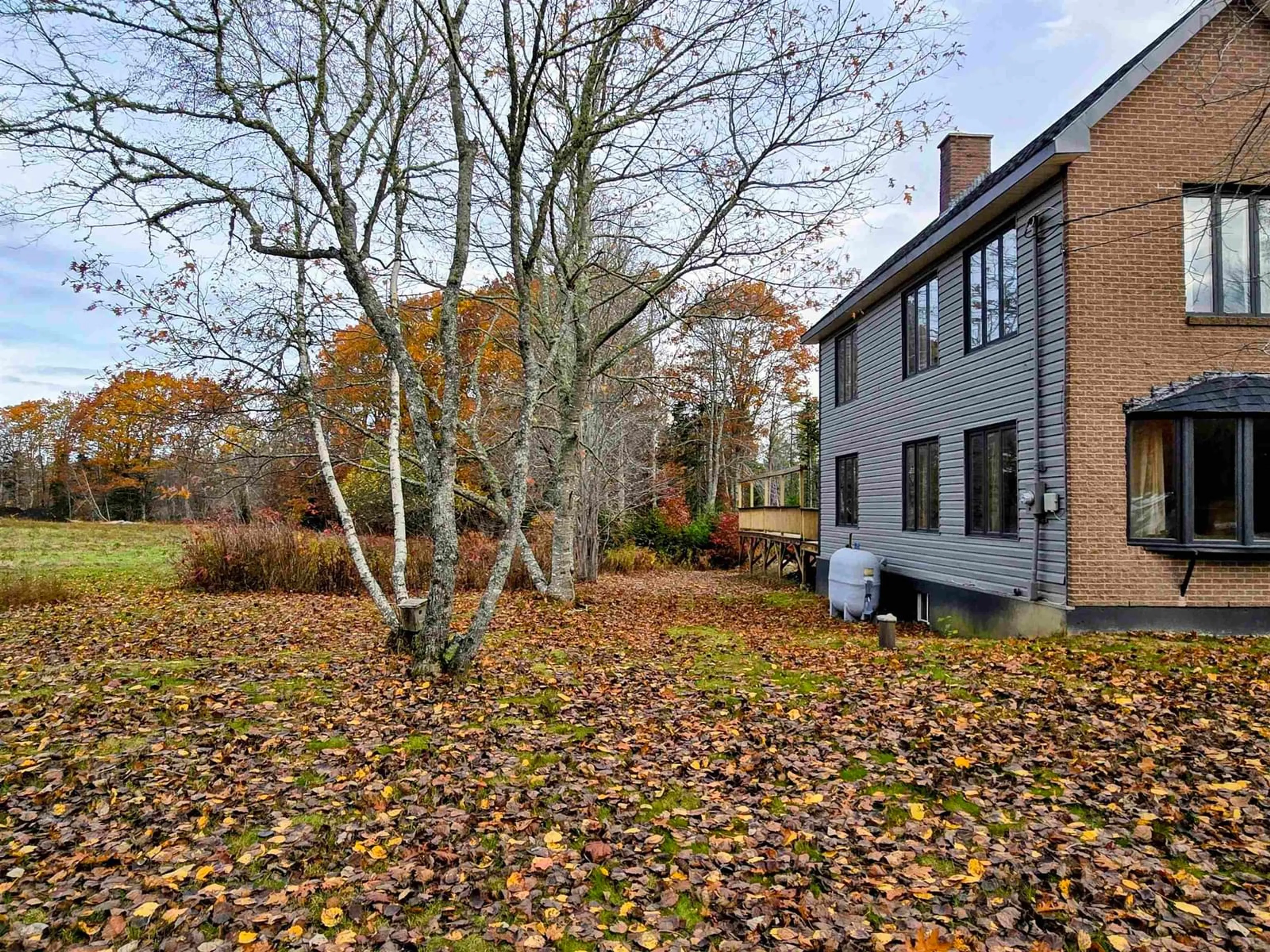 A pic from outside/outdoor area/front of a property/back of a property/a pic from drone, forest/trees view for 3852 Highway 208, Colpton Nova Scotia B0R 1E0