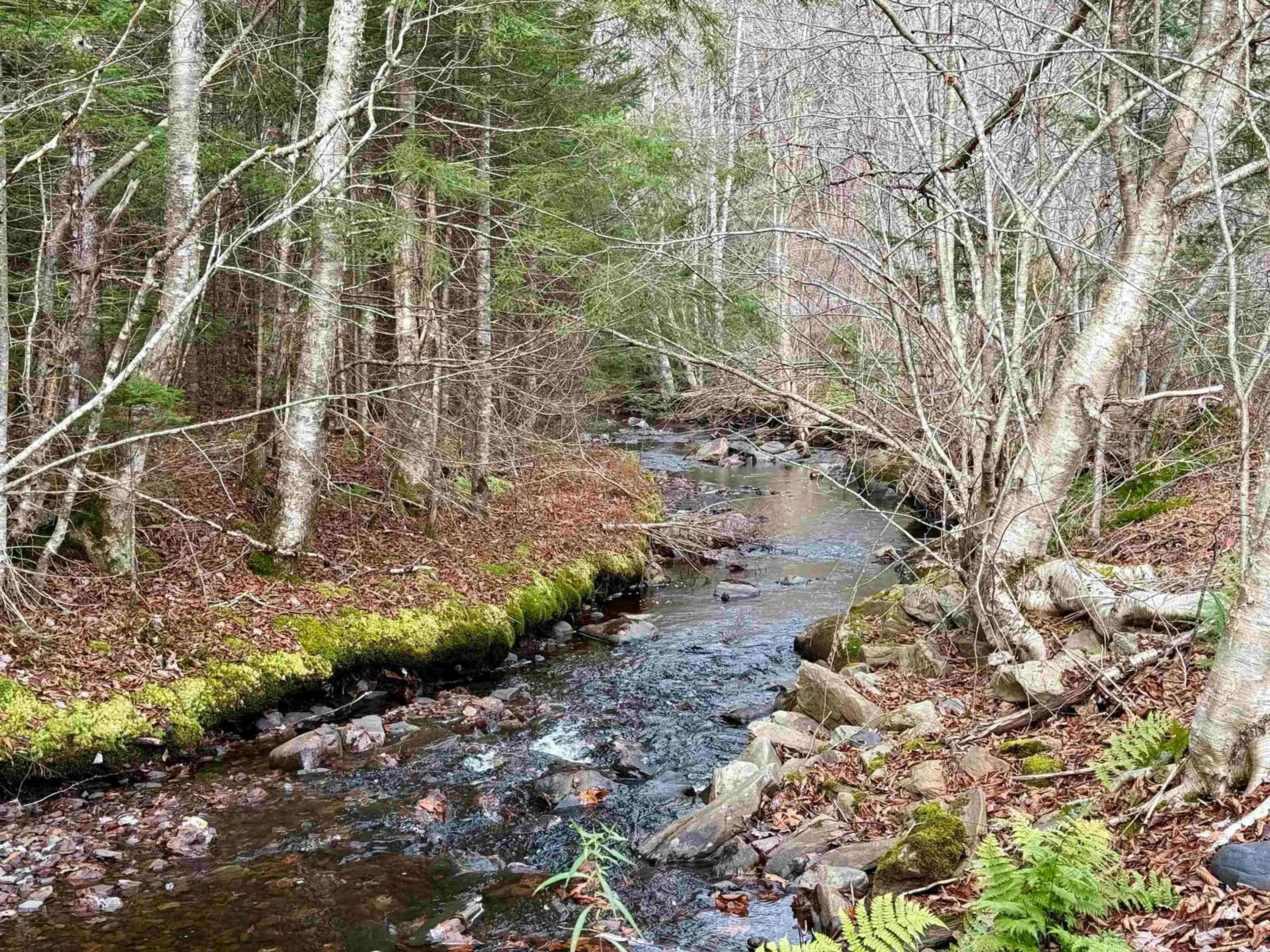 Unknown for 172 Woodside Rd, Dean Nova Scotia B0N 2M0