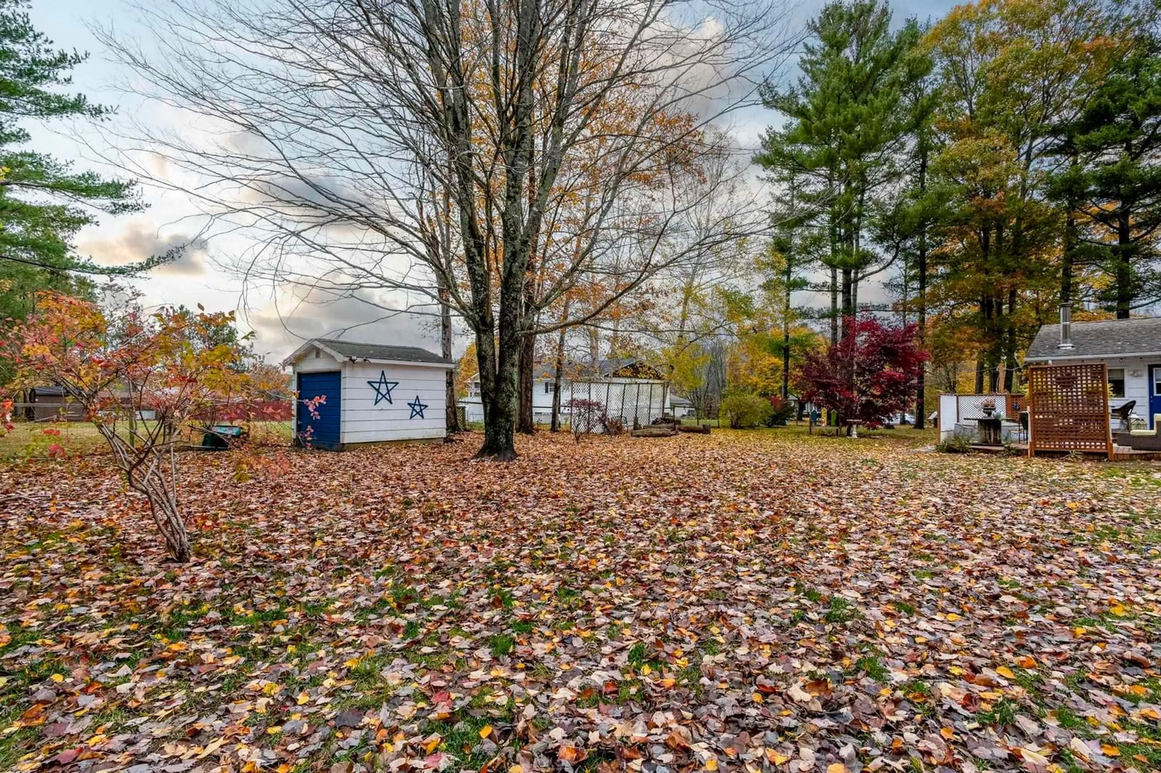 Unknown for 1009 White Pine Dr, Centreville Nova Scotia B0P 1J0