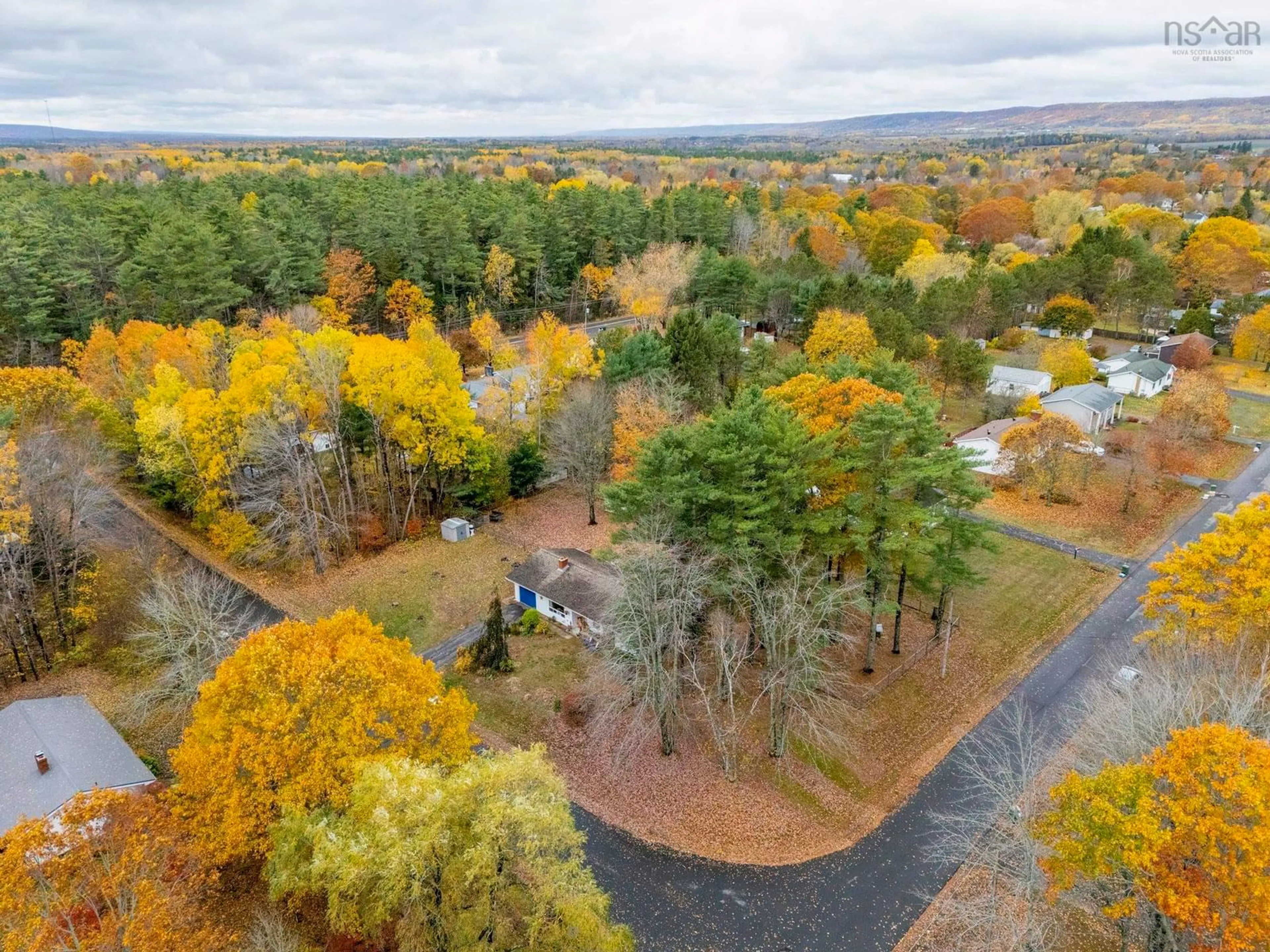 A pic from outside/outdoor area/front of a property/back of a property/a pic from drone, forest/trees view for 1009 White Pine Dr, Centreville Nova Scotia B0P 1J0