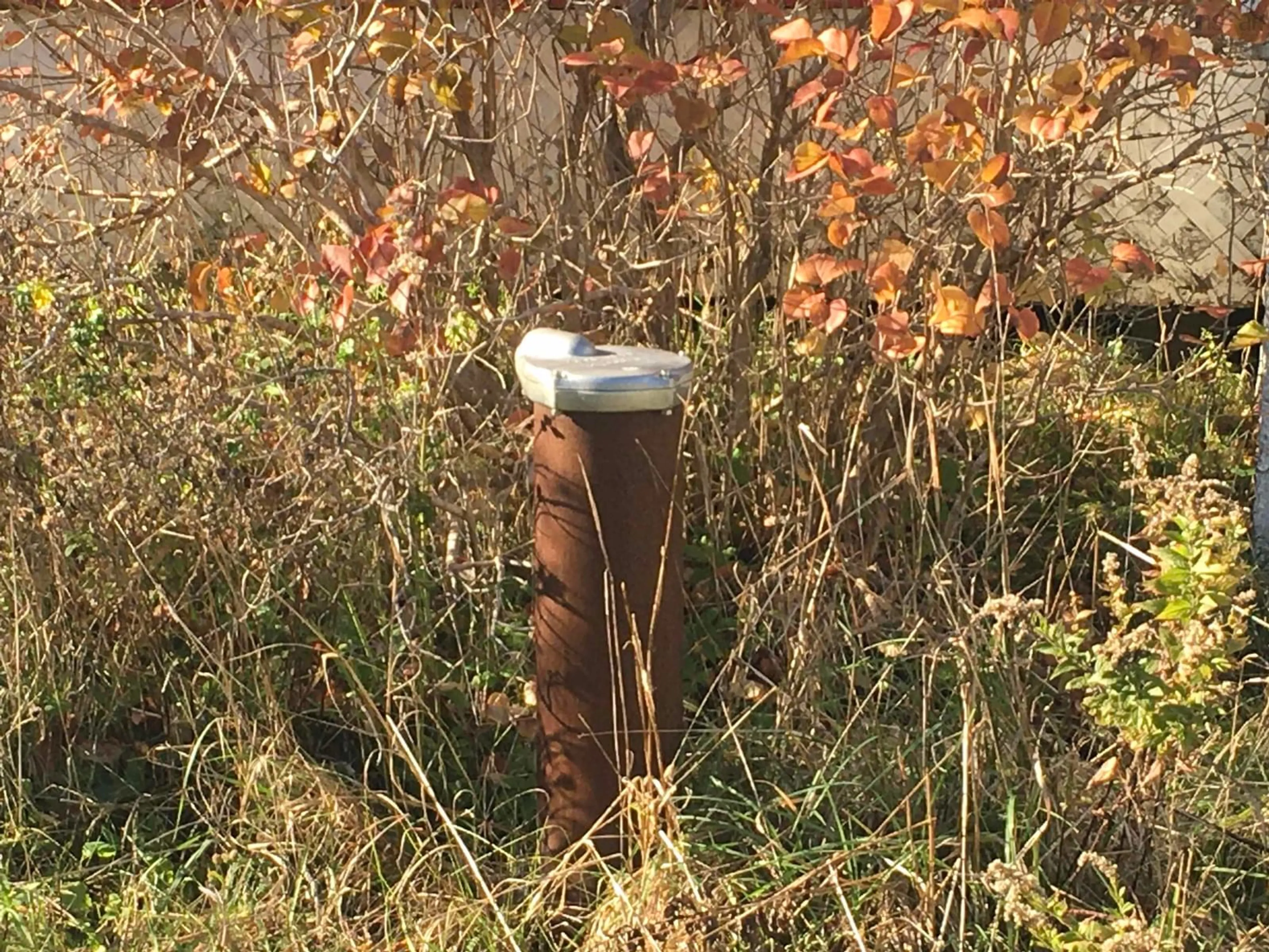 Unknown for 1945 Italy Cross Rd, Petite Rivière Nova Scotia B4V 5W8