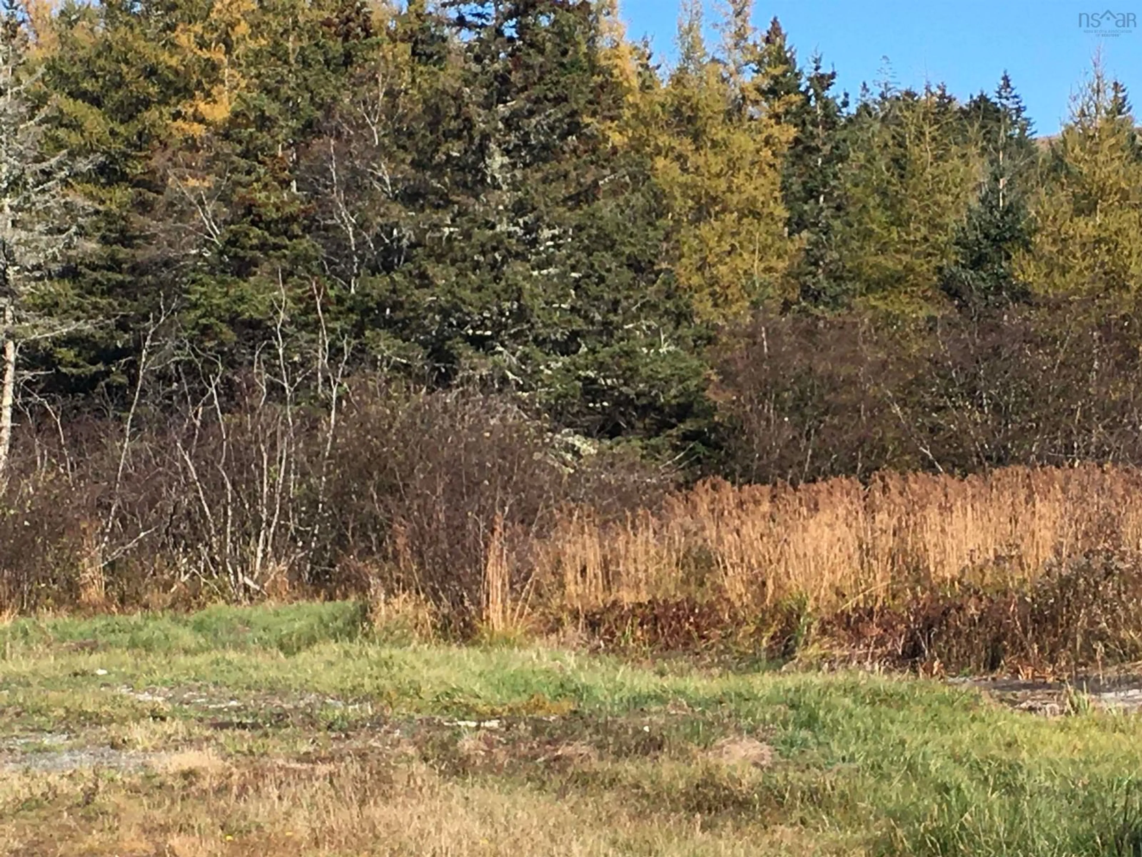 Unknown for 1945 Italy Cross Rd, Petite Rivière Nova Scotia B4V 5W8