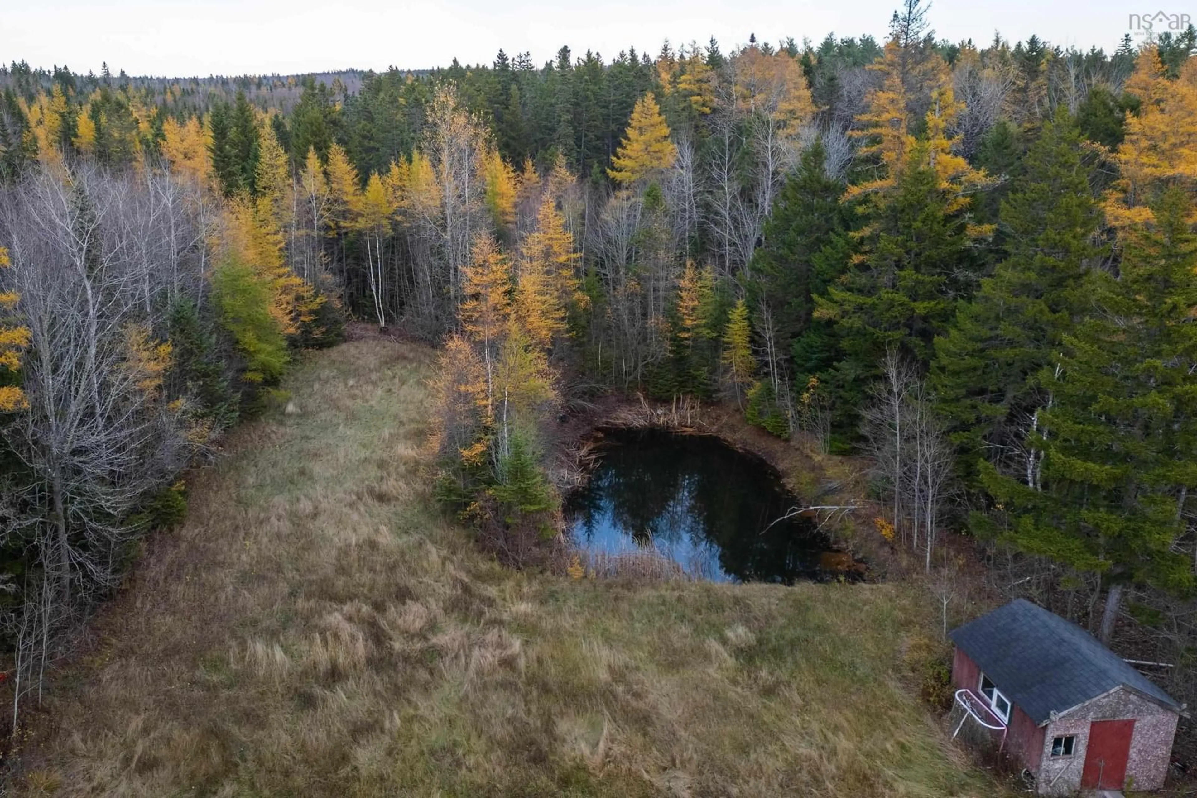 A pic from outside/outdoor area/front of a property/back of a property/a pic from drone, forest/trees view for 308 Old Halifax Rd, Stanley Nova Scotia B4H 3Y1