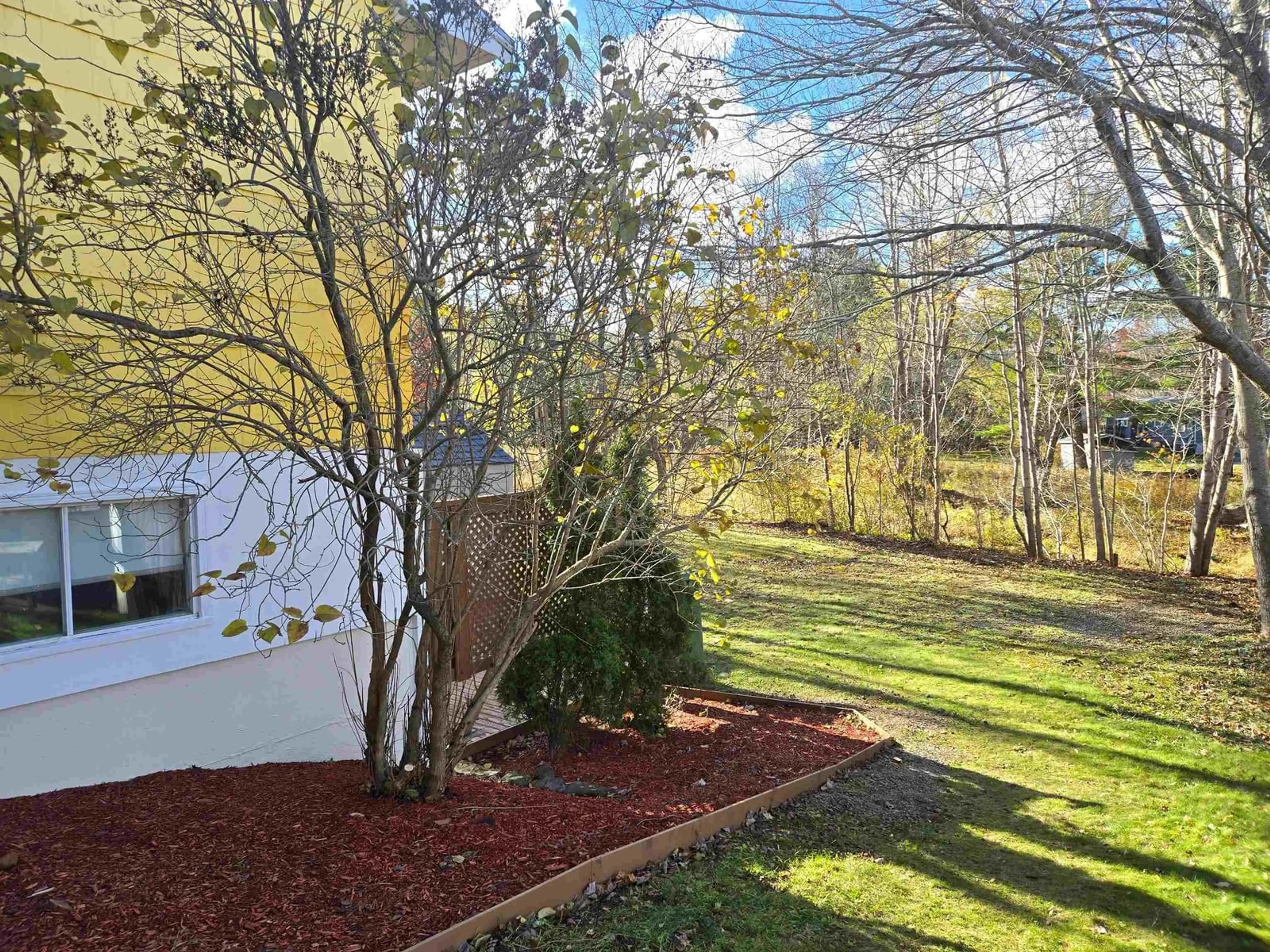 A pic from outside/outdoor area/front of a property/back of a property/a pic from drone, forest/trees view for 26 Meldrum Ave, Bridgewater Nova Scotia B4V 2Y6