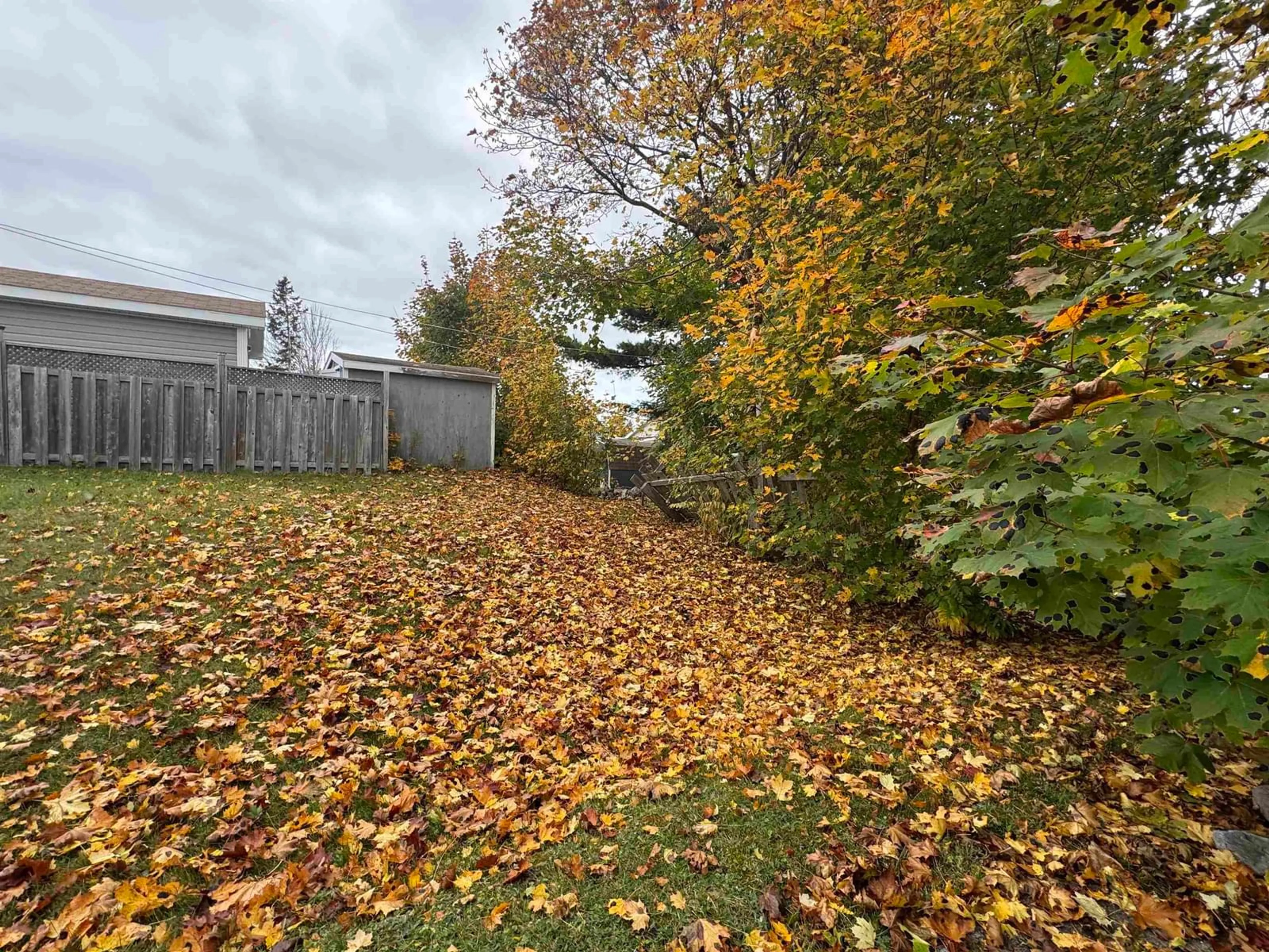 A pic from outside/outdoor area/front of a property/back of a property/a pic from drone, street for 17 Young Ave, North Sydney Nova Scotia B2A 1Y7