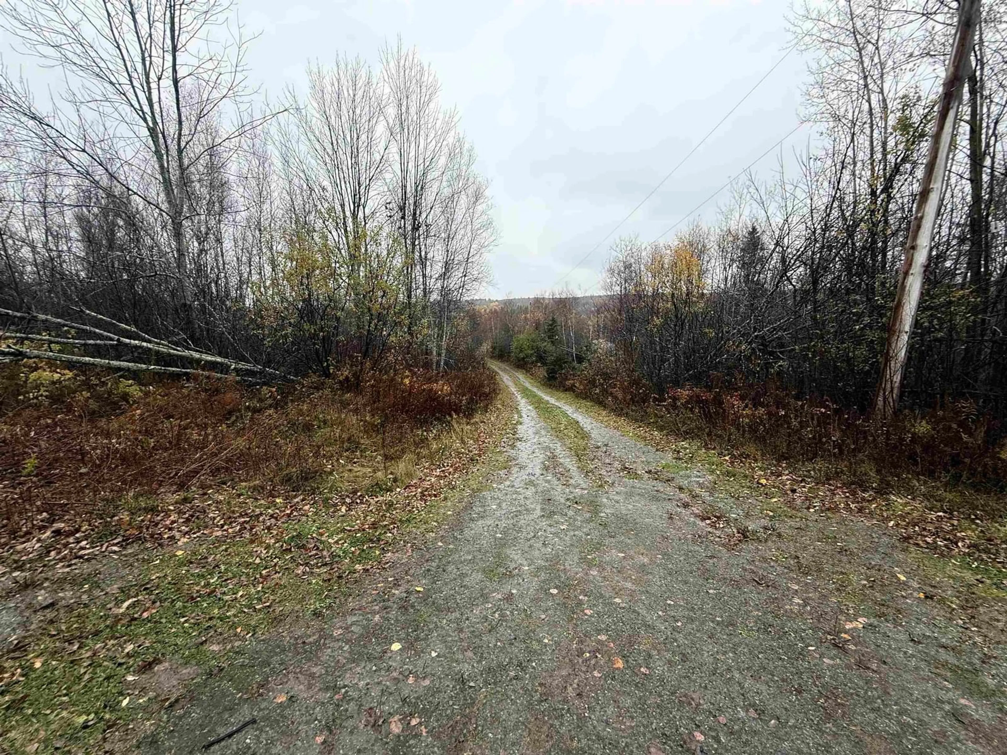 Blurry image for 8724 Highway 4 Hwy, Telford Nova Scotia B0K 1G0