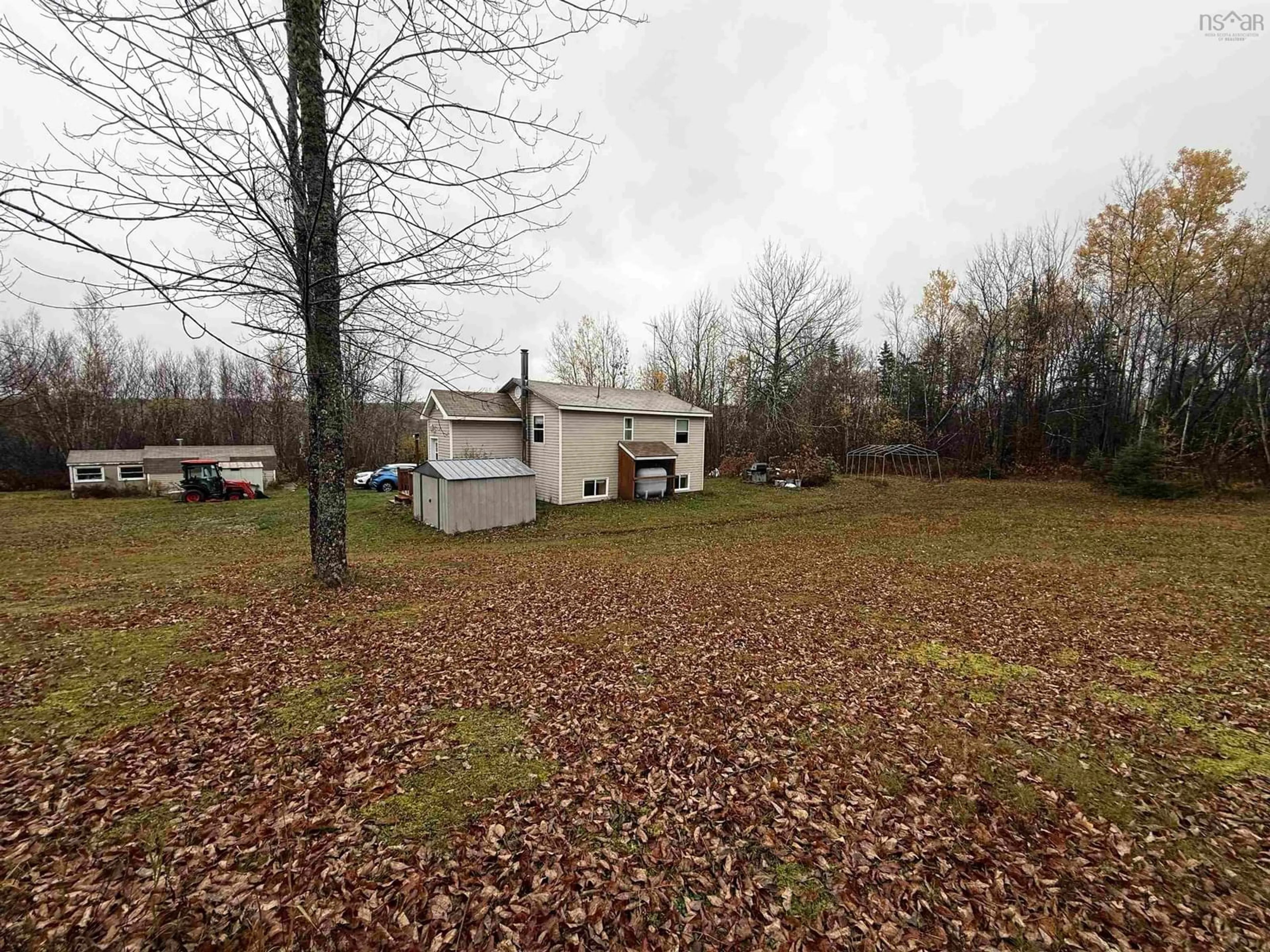 A pic from outside/outdoor area/front of a property/back of a property/a pic from drone, forest/trees view for 8724 Highway 4 Hwy, Telford Nova Scotia B0K 1G0