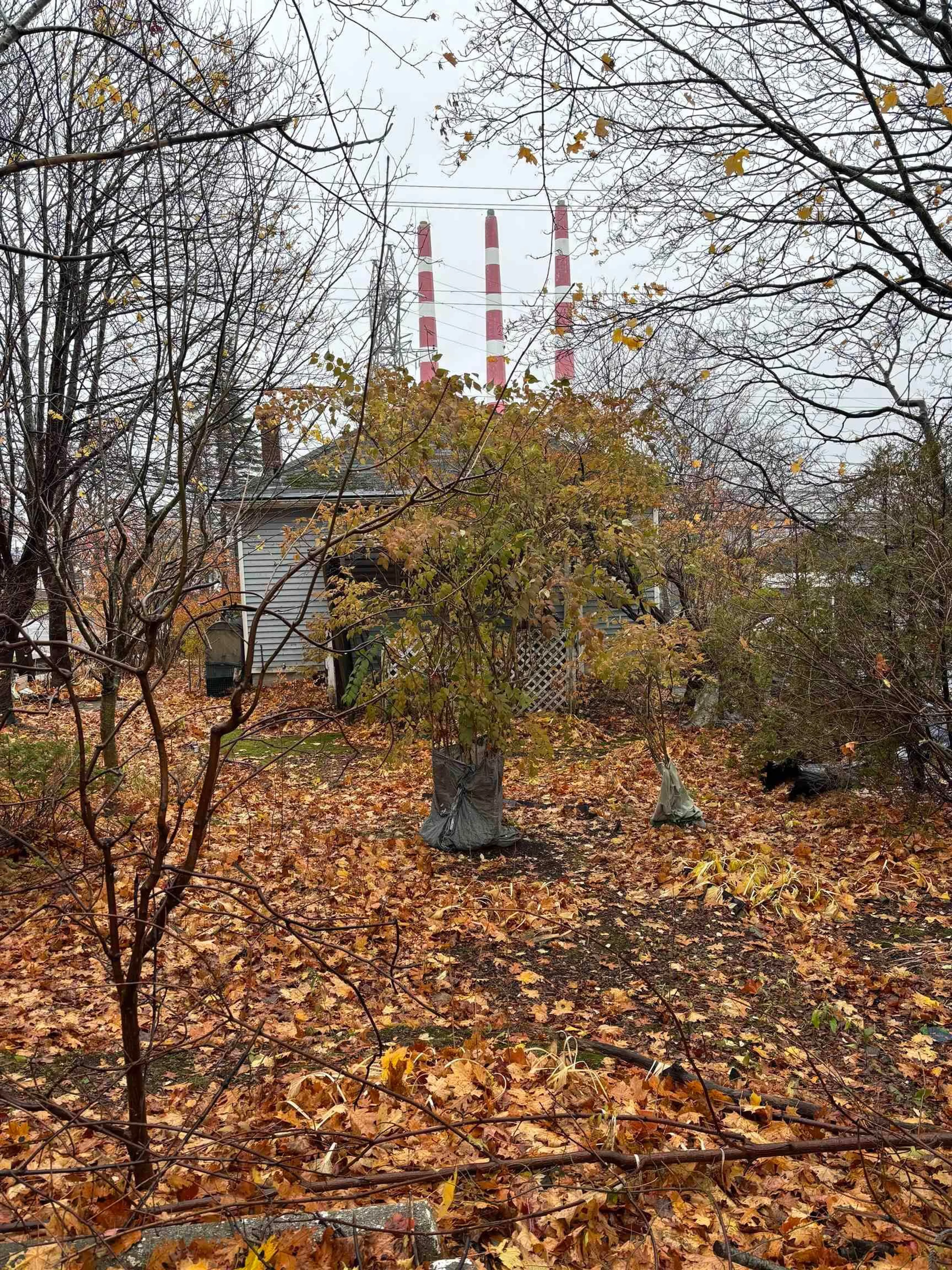 Blurry image for 324 Windmill Rd, Dartmouth Nova Scotia B3A 1H6