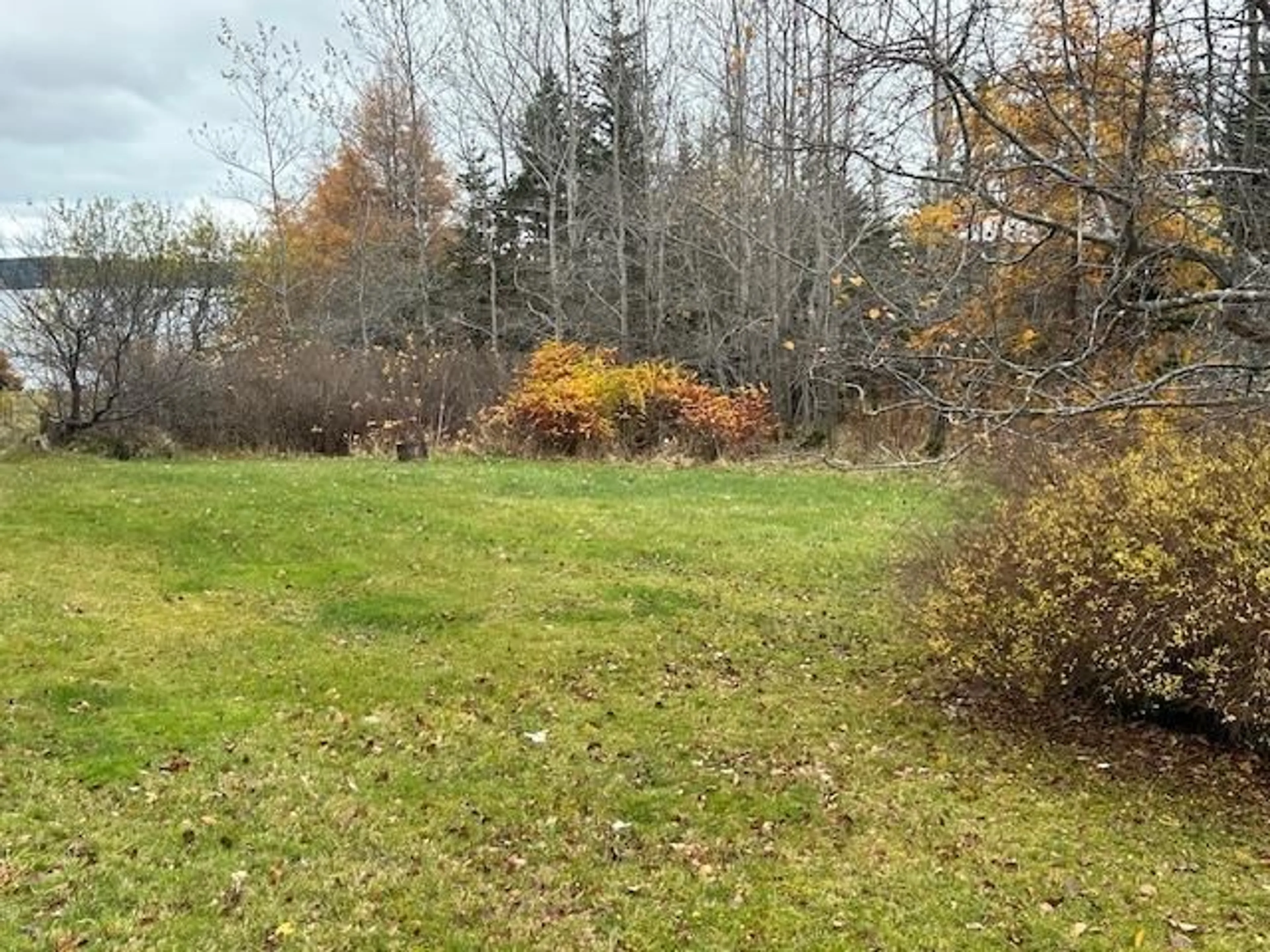 A pic from outside/outdoor area/front of a property/back of a property/a pic from drone, forest/trees view for 8903 Pepperell St, St. Peter's Nova Scotia B0E 3B0