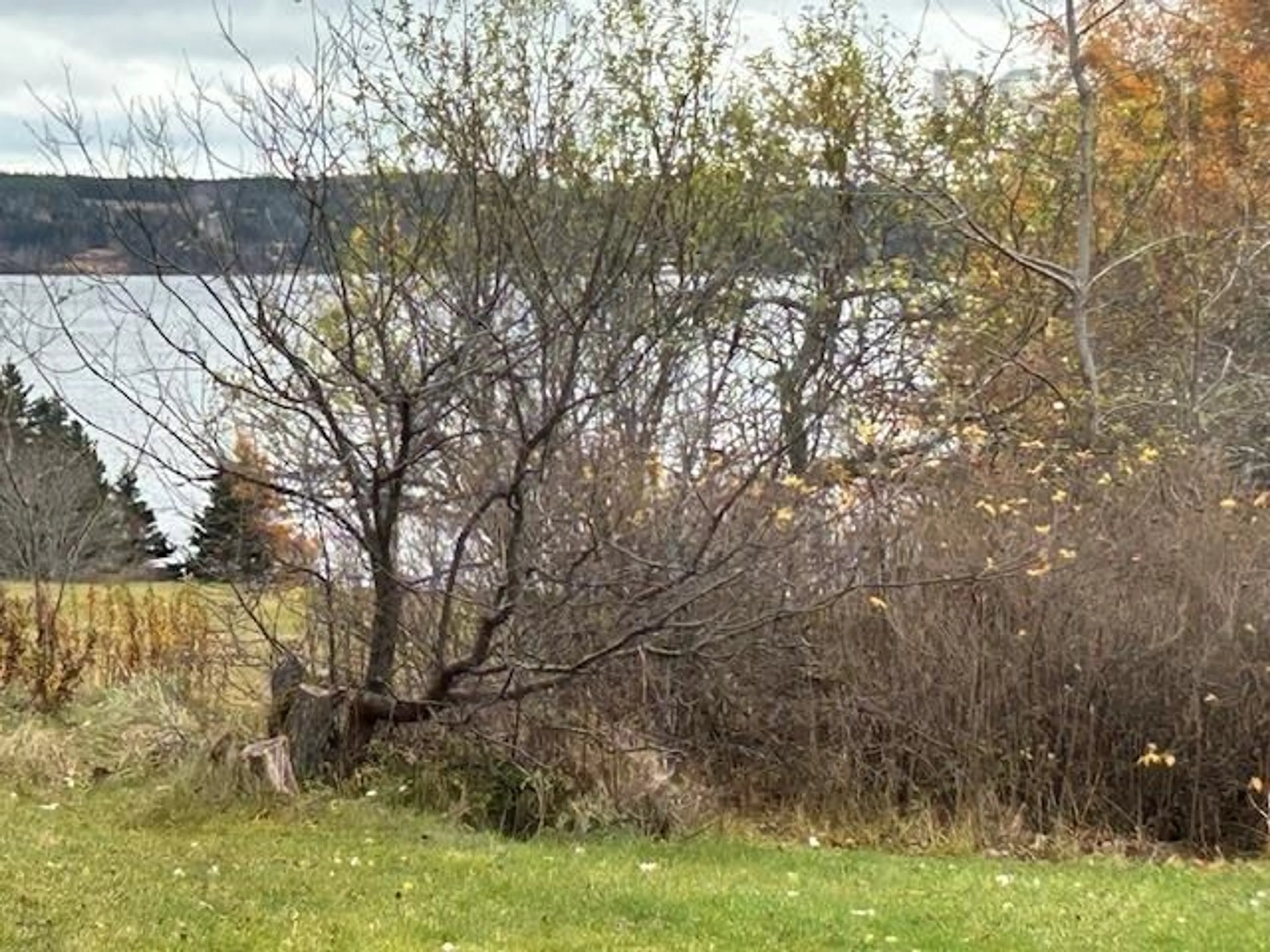 Blurry image for 8903 Pepperell St, St. Peter's Nova Scotia B0E 3B0