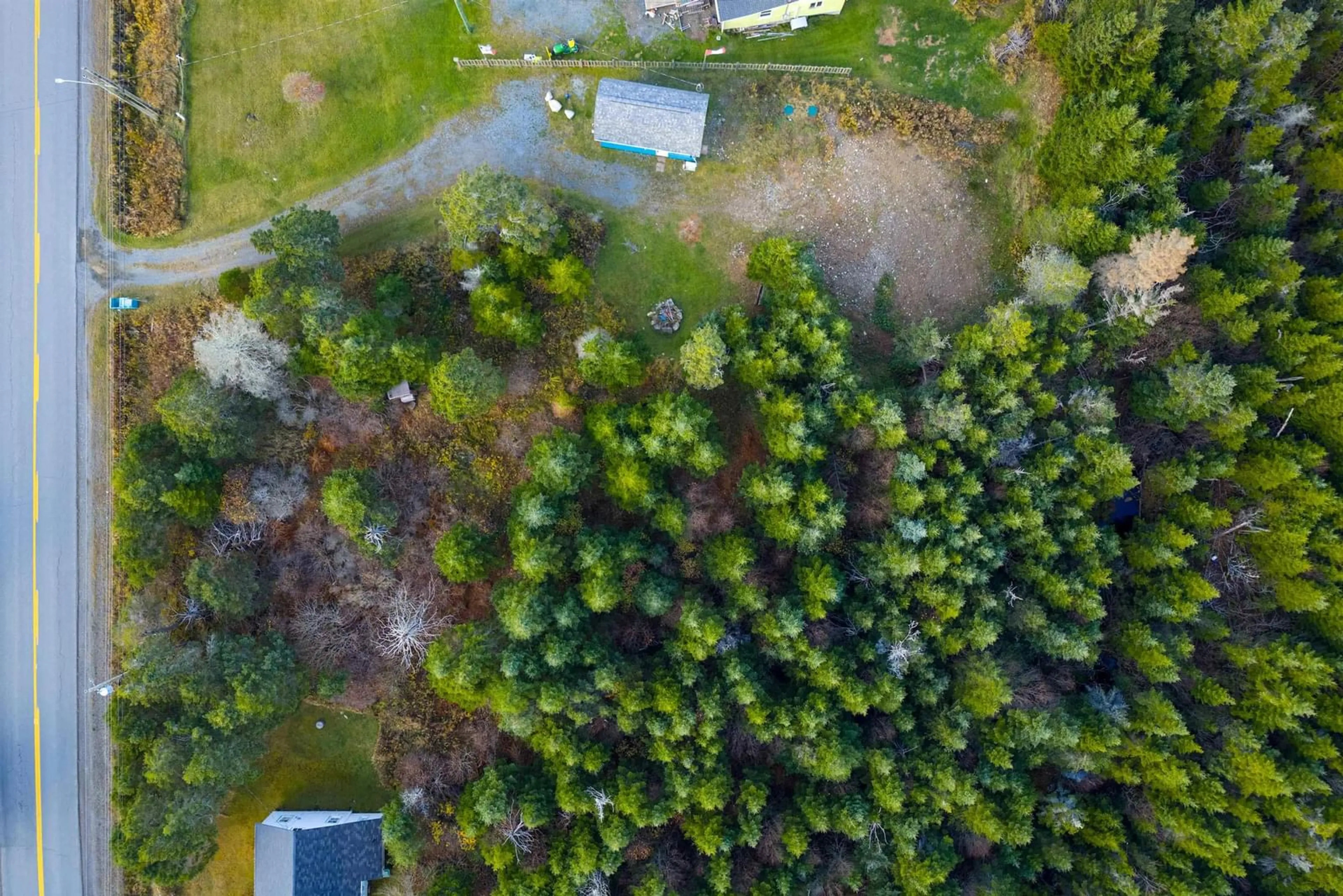 A pic from outside/outdoor area/front of a property/back of a property/a pic from drone, forest/trees view for 2147 East Petpeswick Rd, East Petpeswick Nova Scotia B0J 2L0