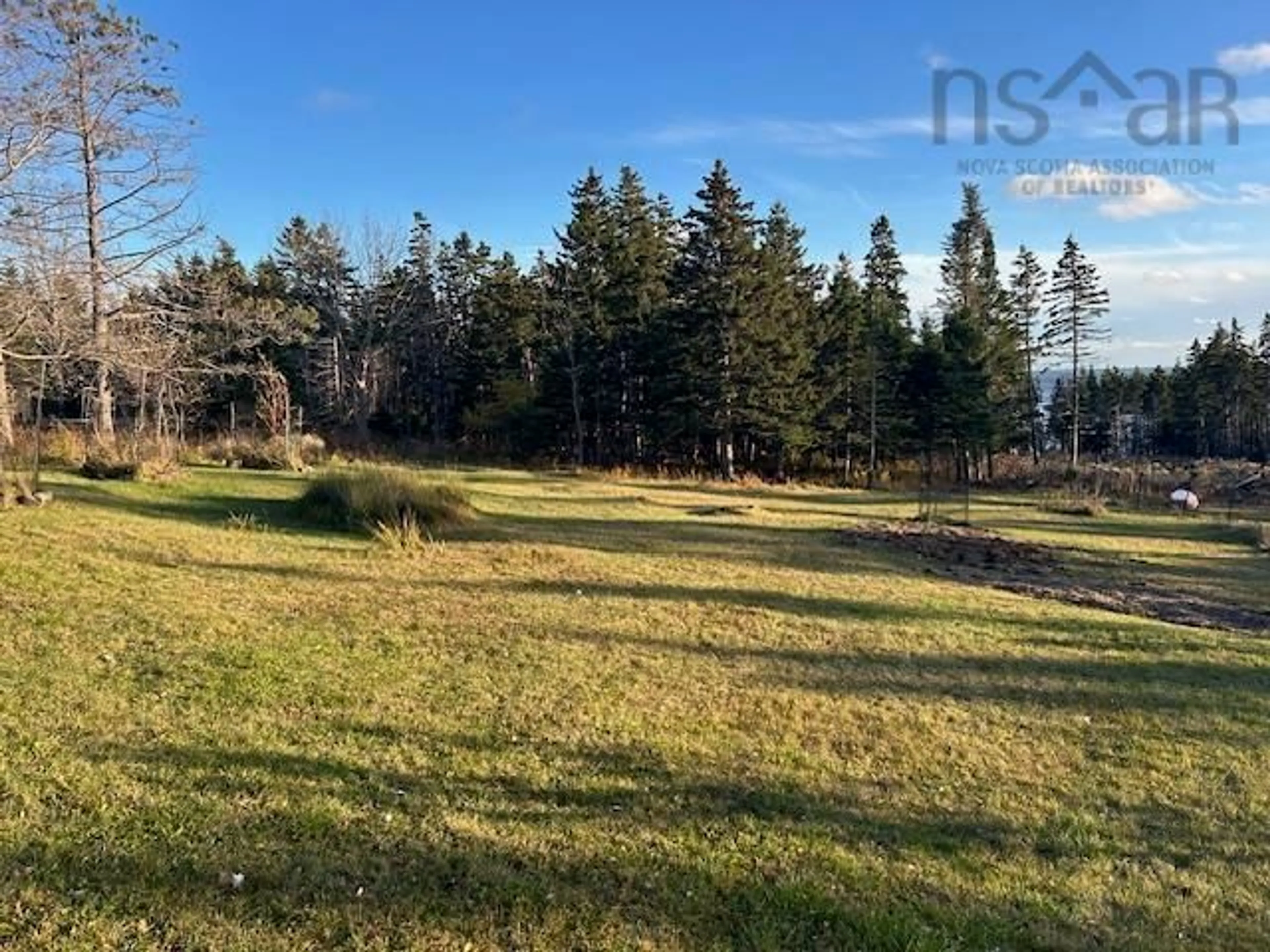 A pic from outside/outdoor area/front of a property/back of a property/a pic from drone, forest/trees view for 9690 Grenville St, St. Peter's Nova Scotia B0E 3B0