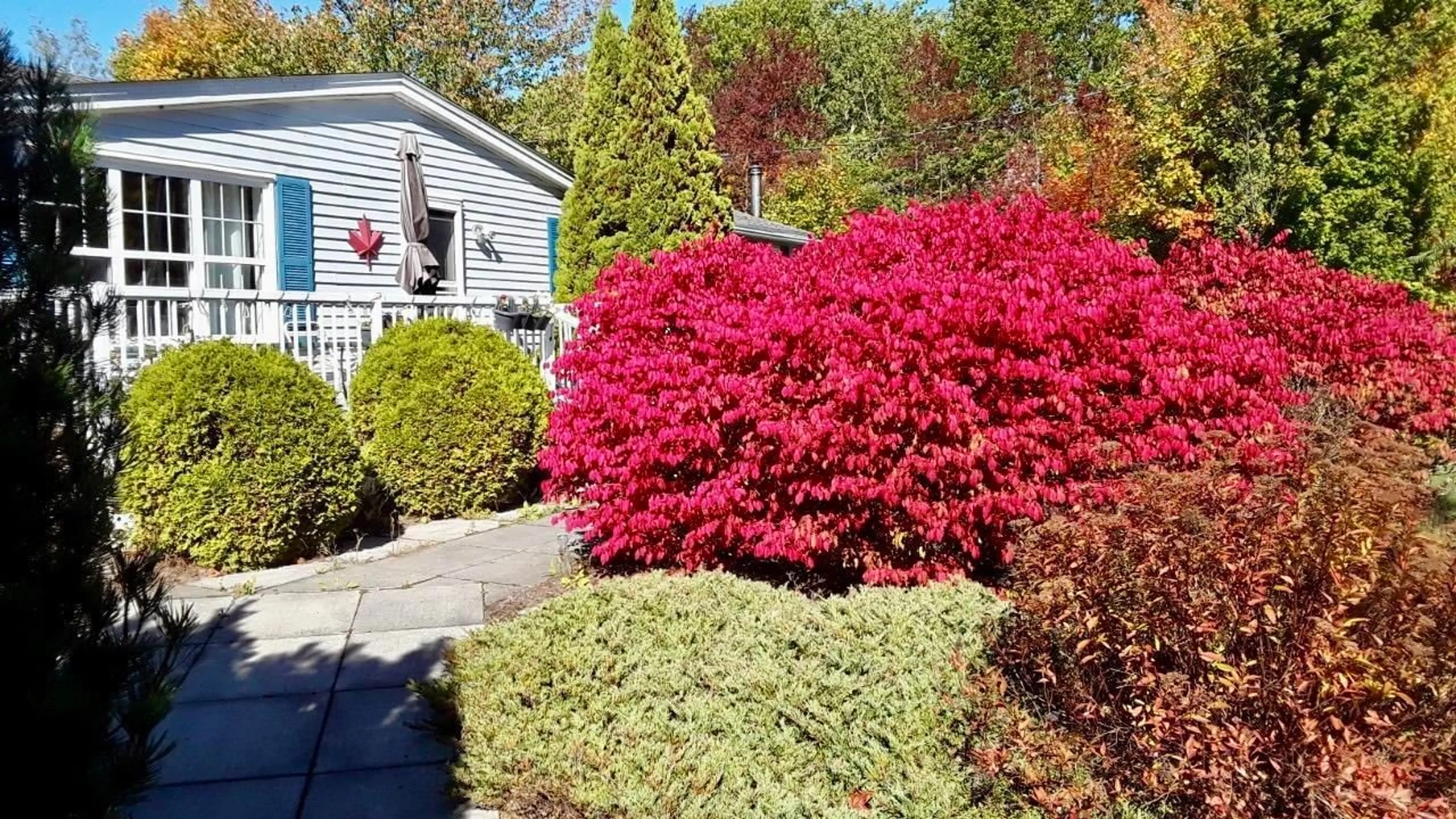 Unknown for 959 Highway 202, West Gore Nova Scotia B0N 1T0