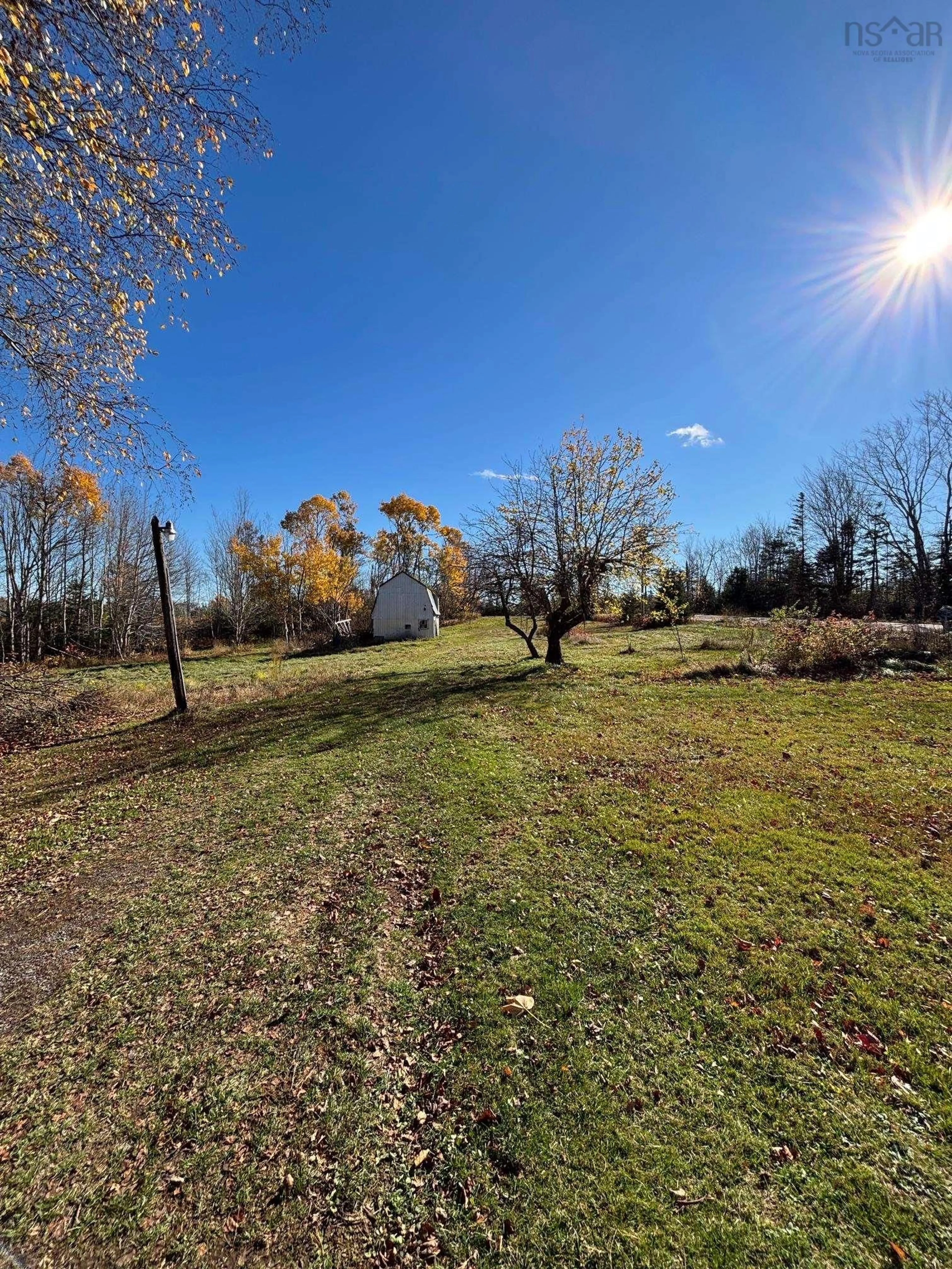 A pic from outside/outdoor area/front of a property/back of a property/a pic from drone, forest/trees view for 6965 Highway 6 Rd, Three Brooks Nova Scotia B0K 1H0