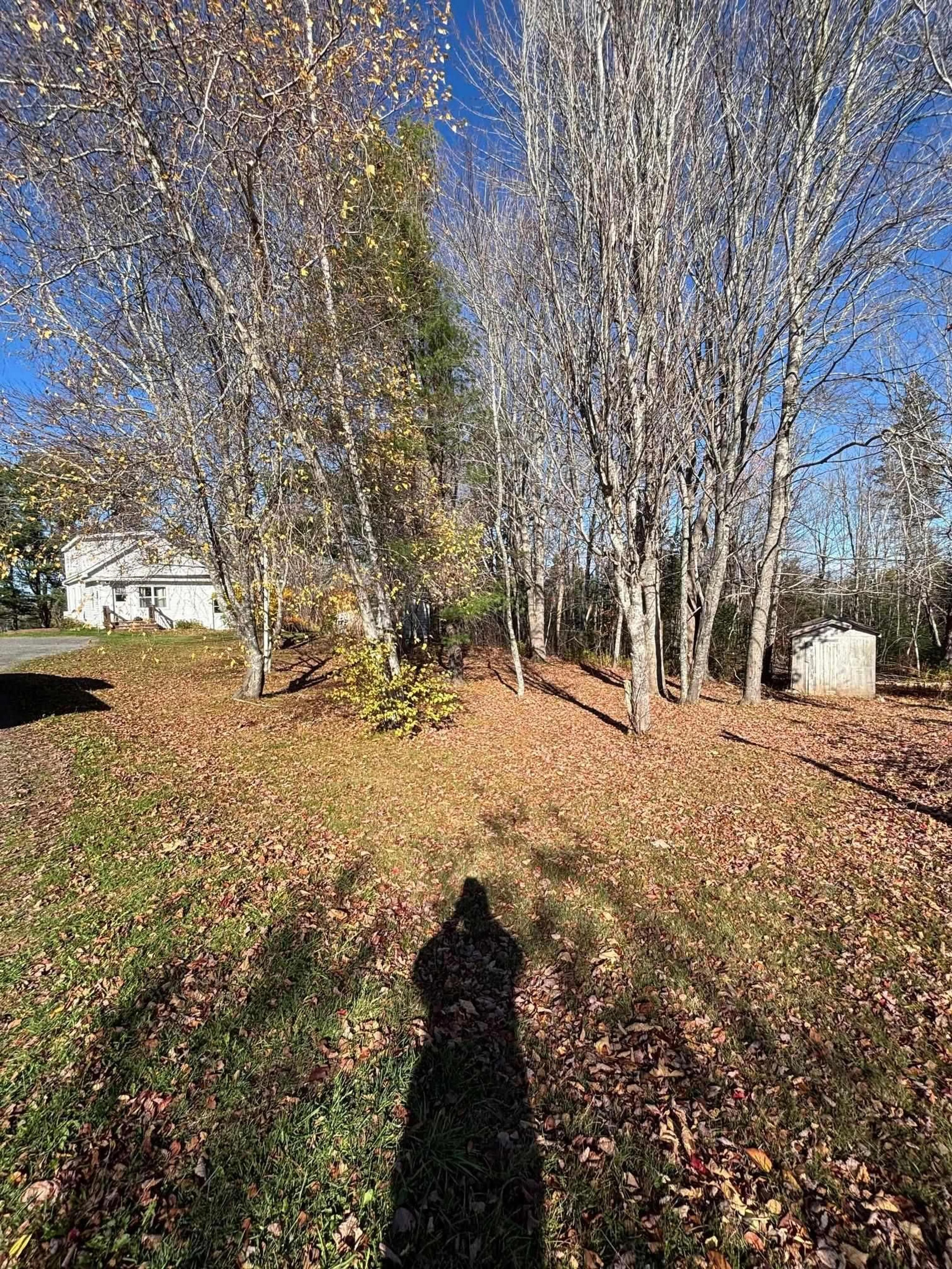 A pic from outside/outdoor area/front of a property/back of a property/a pic from drone, forest/trees view for 6965 Highway 6 Rd, Three Brooks Nova Scotia B0K 1H0