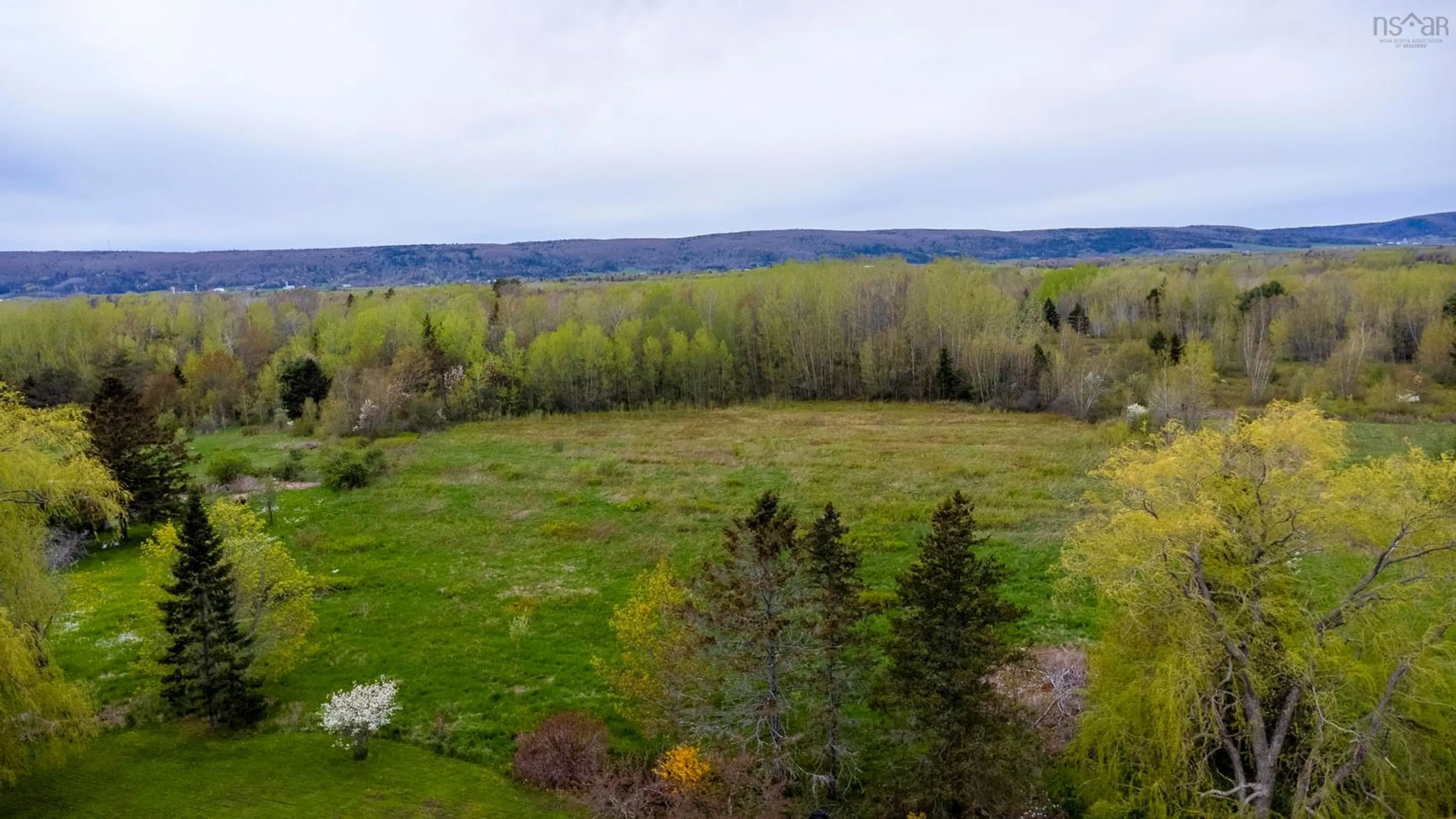 A pic from outside/outdoor area/front of a property/back of a property/a pic from drone, forest/trees view for 683 Main St, Lawrencetown Nova Scotia B0S 1M0