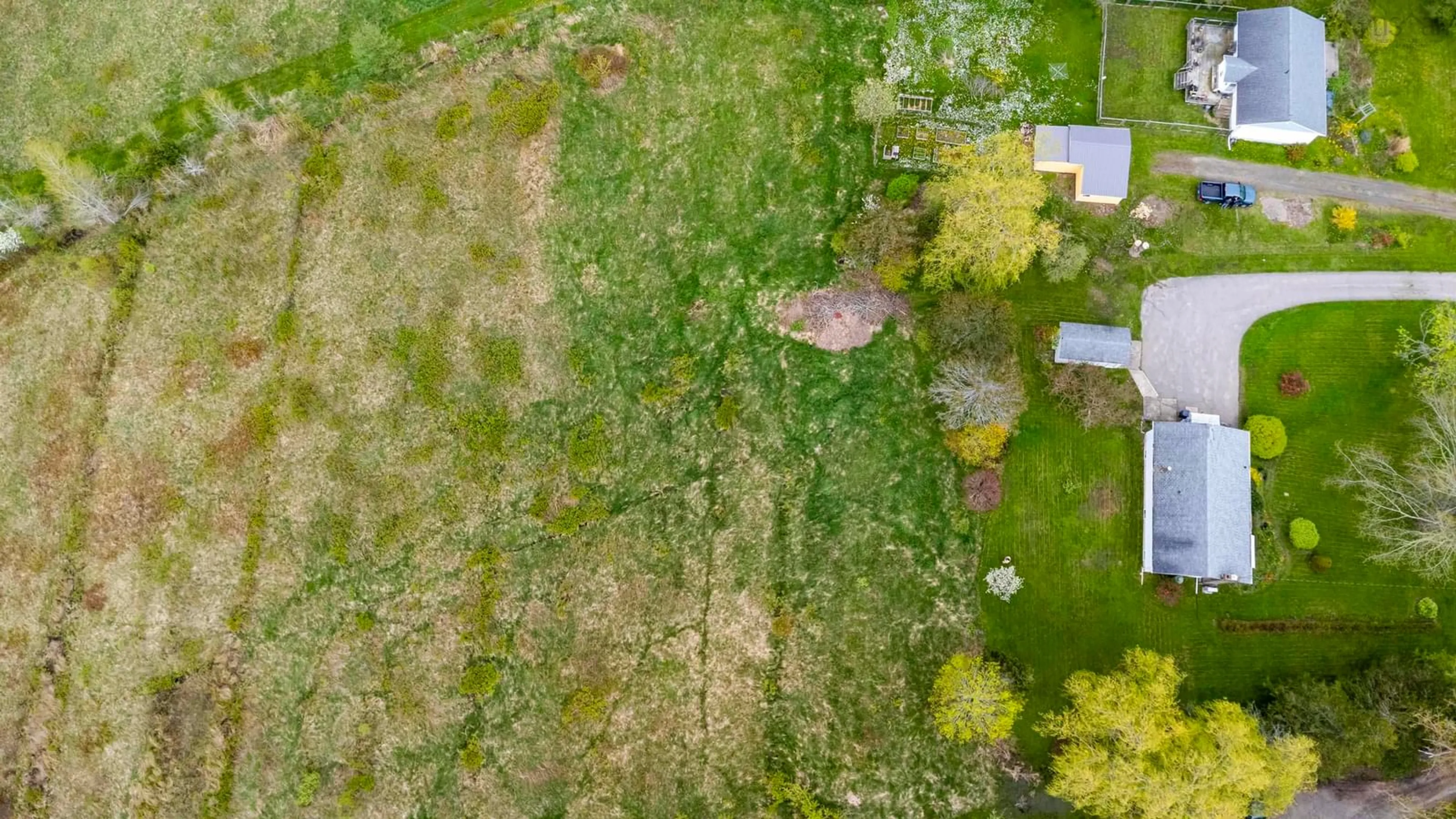 A pic from outside/outdoor area/front of a property/back of a property/a pic from drone, forest/trees view for 683 Main St, Lawrencetown Nova Scotia B0S 1M0