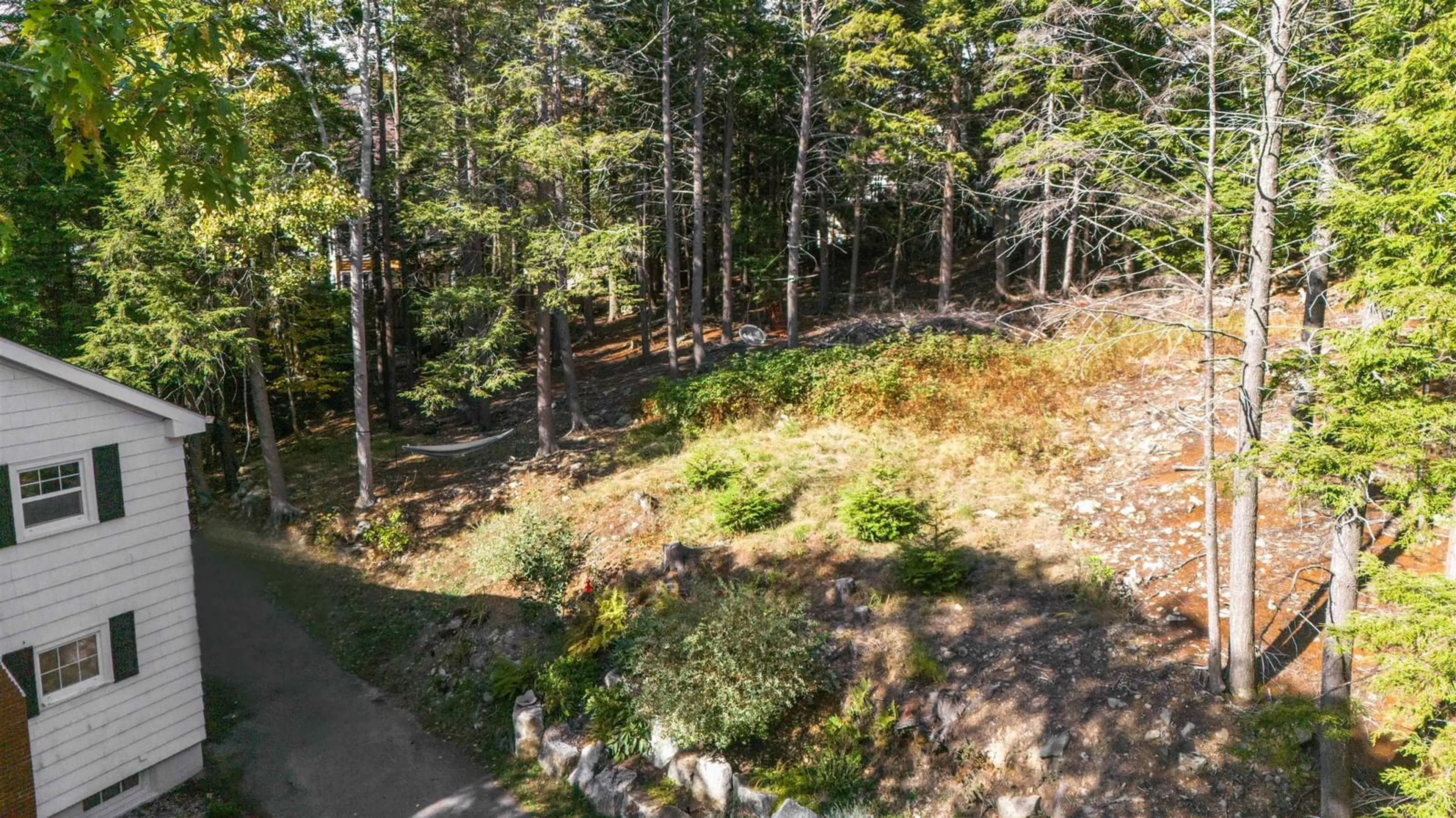 A pic from outside/outdoor area/front of a property/back of a property/a pic from drone, forest/trees view for 20 Dakin Dr, Halifax Nova Scotia B3M 2C8