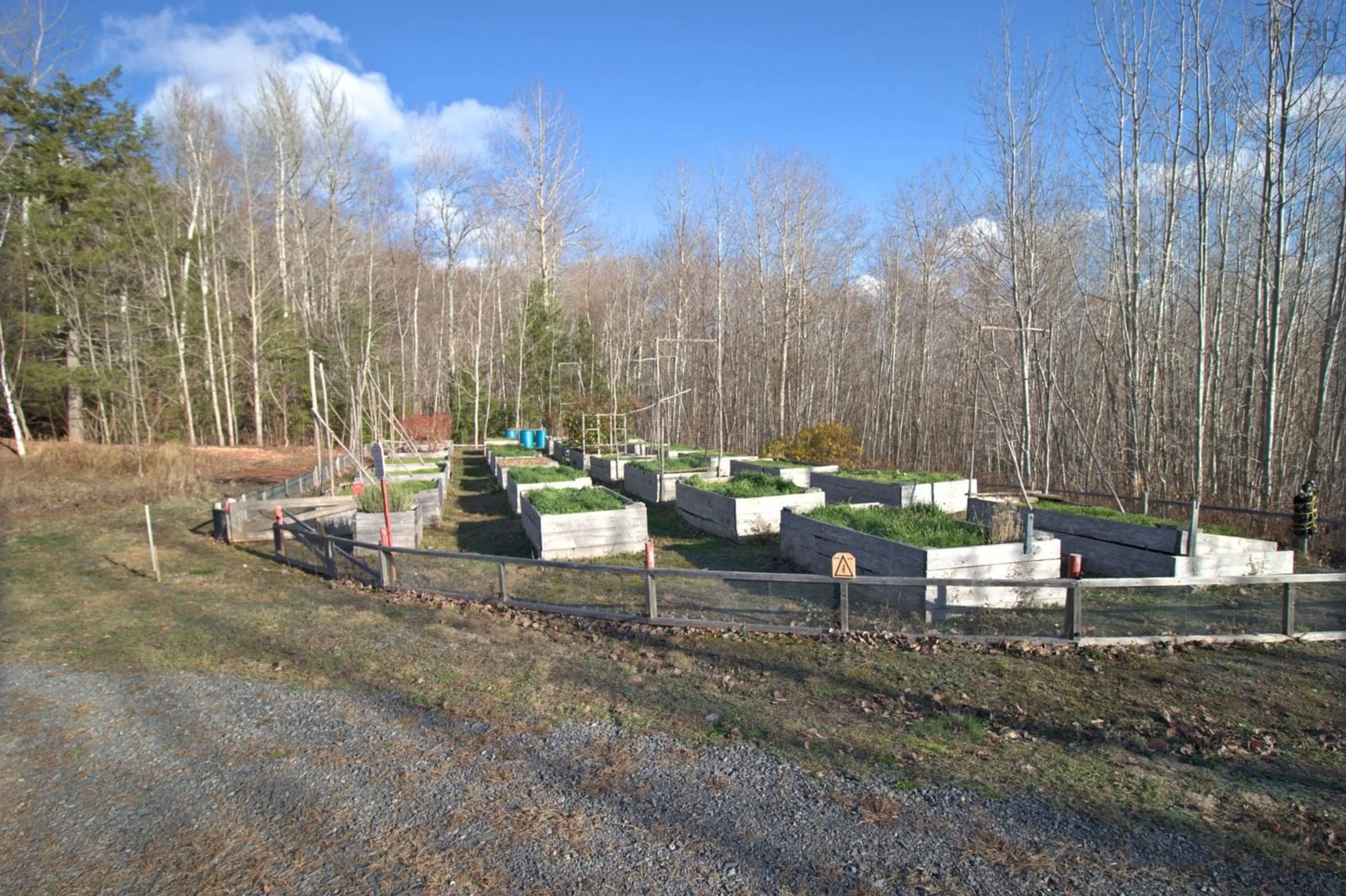 A pic from outside/outdoor area/front of a property/back of a property/a pic from drone, forest/trees view for 516 Burgess Mountain Rd, Woodville Nova Scotia B0P 1G0