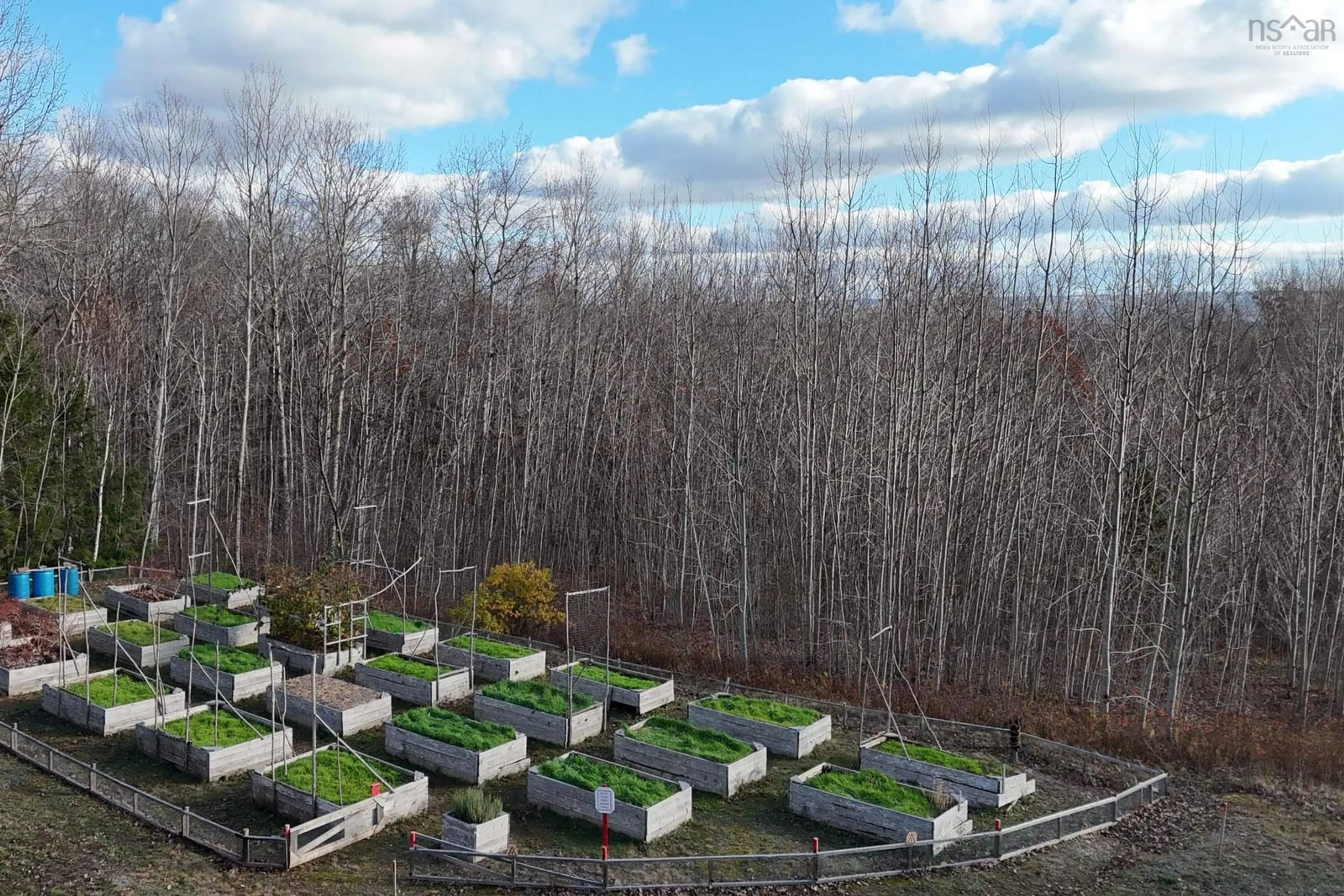 A pic from outside/outdoor area/front of a property/back of a property/a pic from drone, forest/trees view for 516 Burgess Mountain Rd, Woodville Nova Scotia B0P 1G0