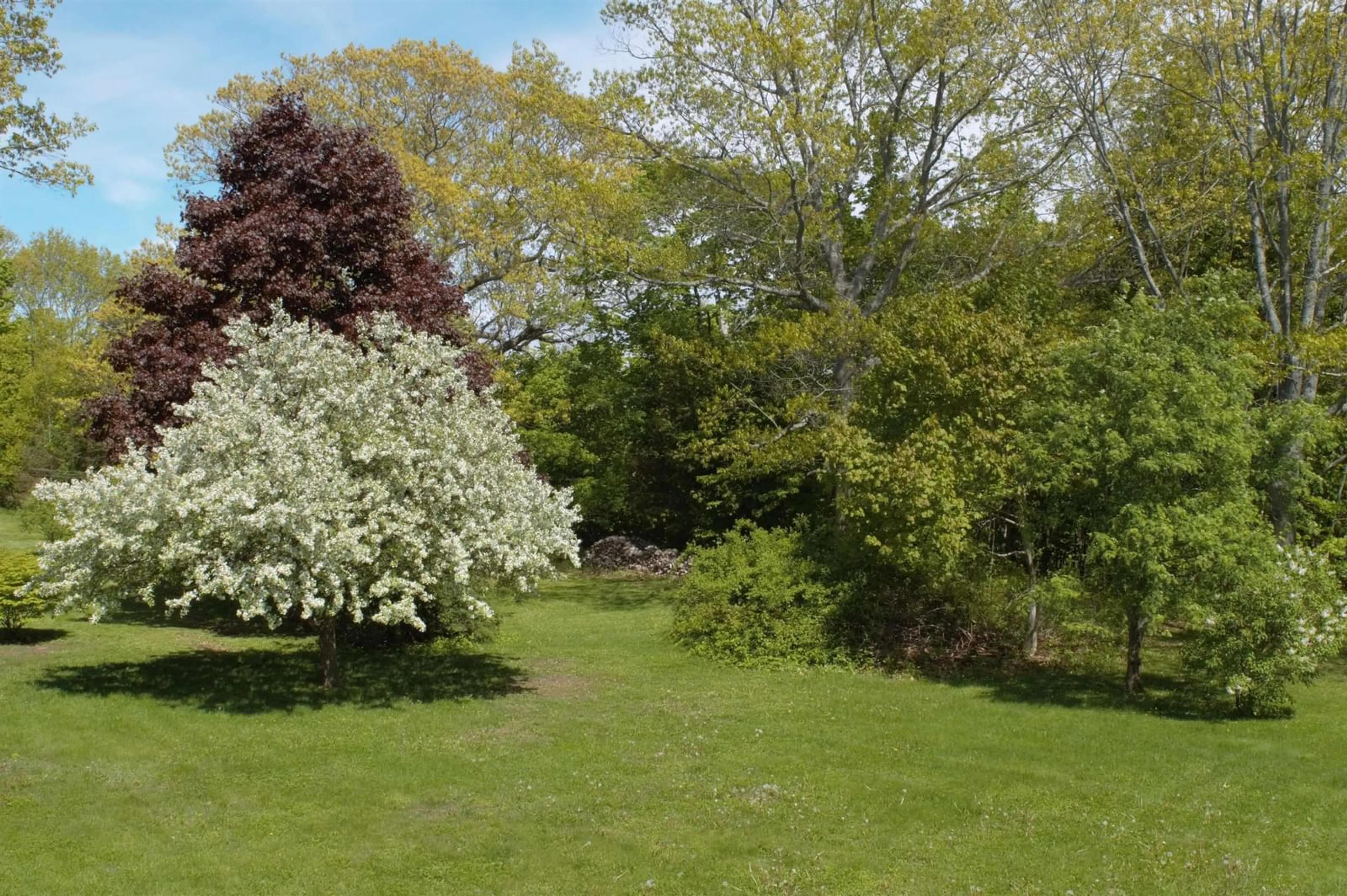 A pic from outside/outdoor area/front of a property/back of a property/a pic from drone, forest/trees view for 20 Connaught Ave #3, Middleton Nova Scotia B0S 1P0