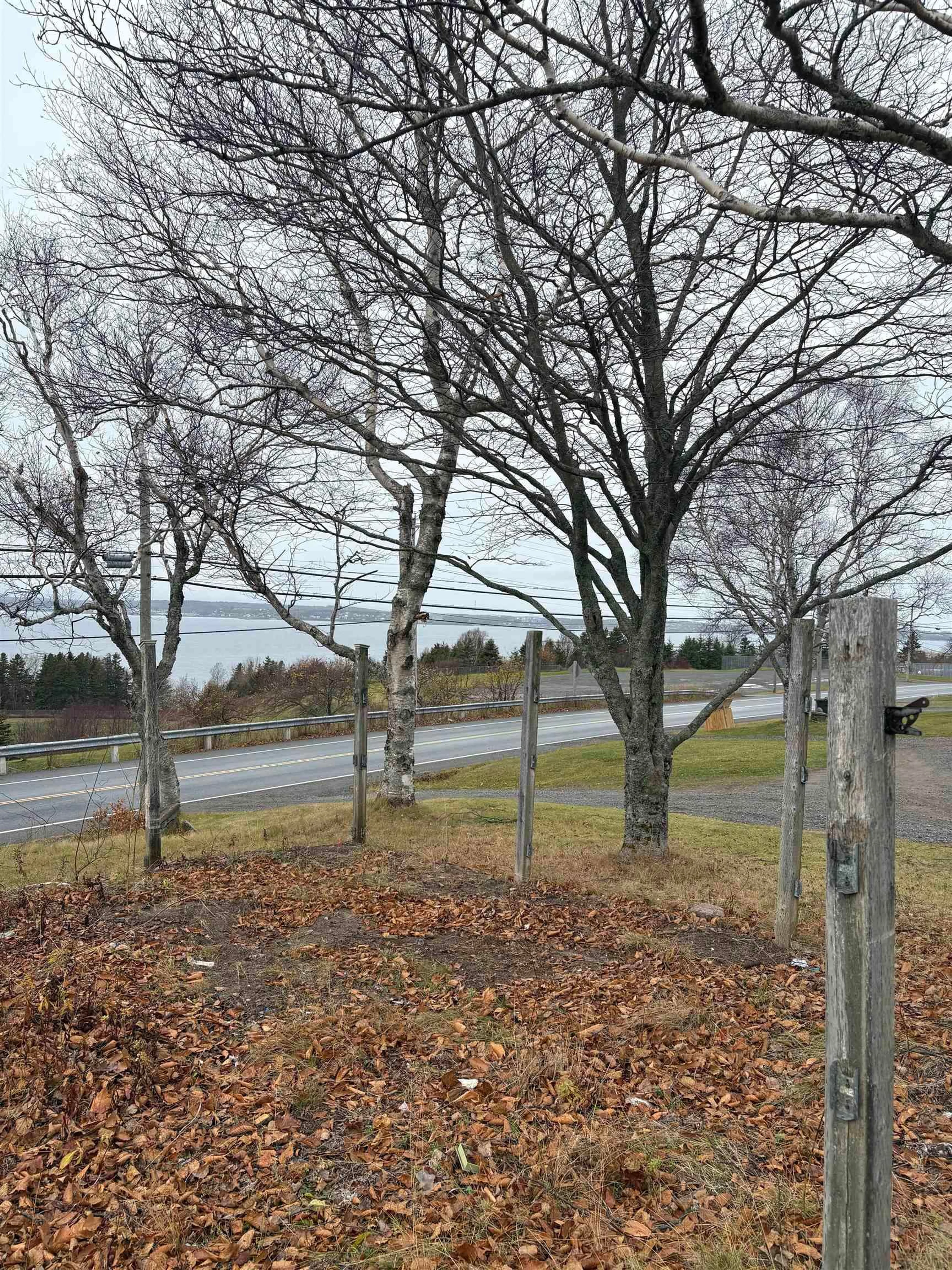 A pic from outside/outdoor area/front of a property/back of a property/a pic from drone, forest/trees view for 2162 New Waterford Hwy, South Bar Nova Scotia B1N 3H7