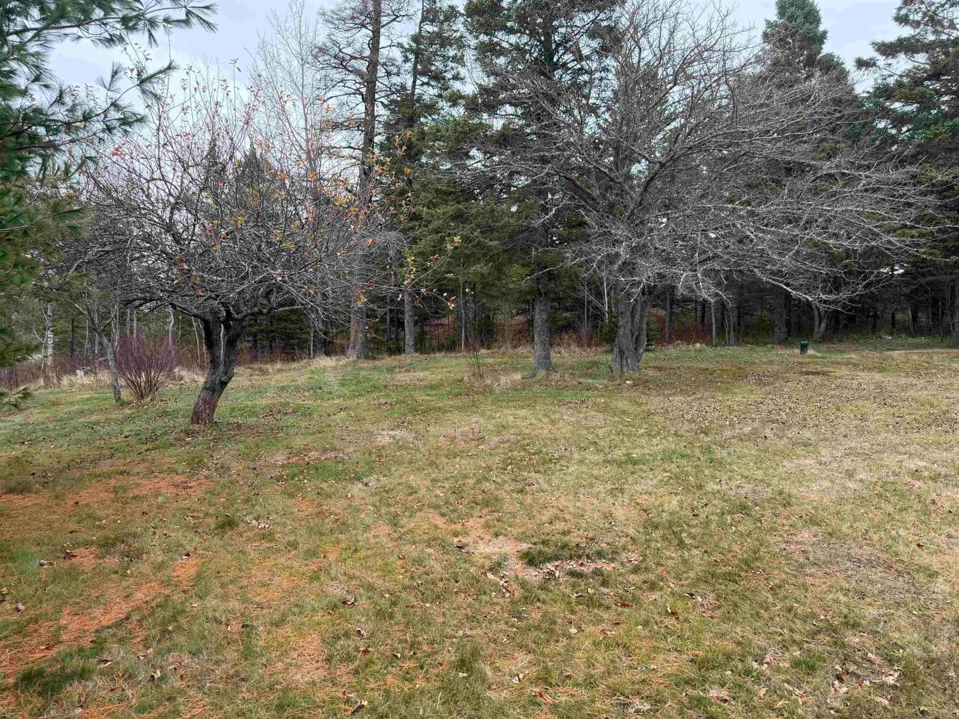 A pic from outside/outdoor area/front of a property/back of a property/a pic from drone, forest/trees view for 331 E. Fraser Rd, White Hill Nova Scotia B0K 1C0