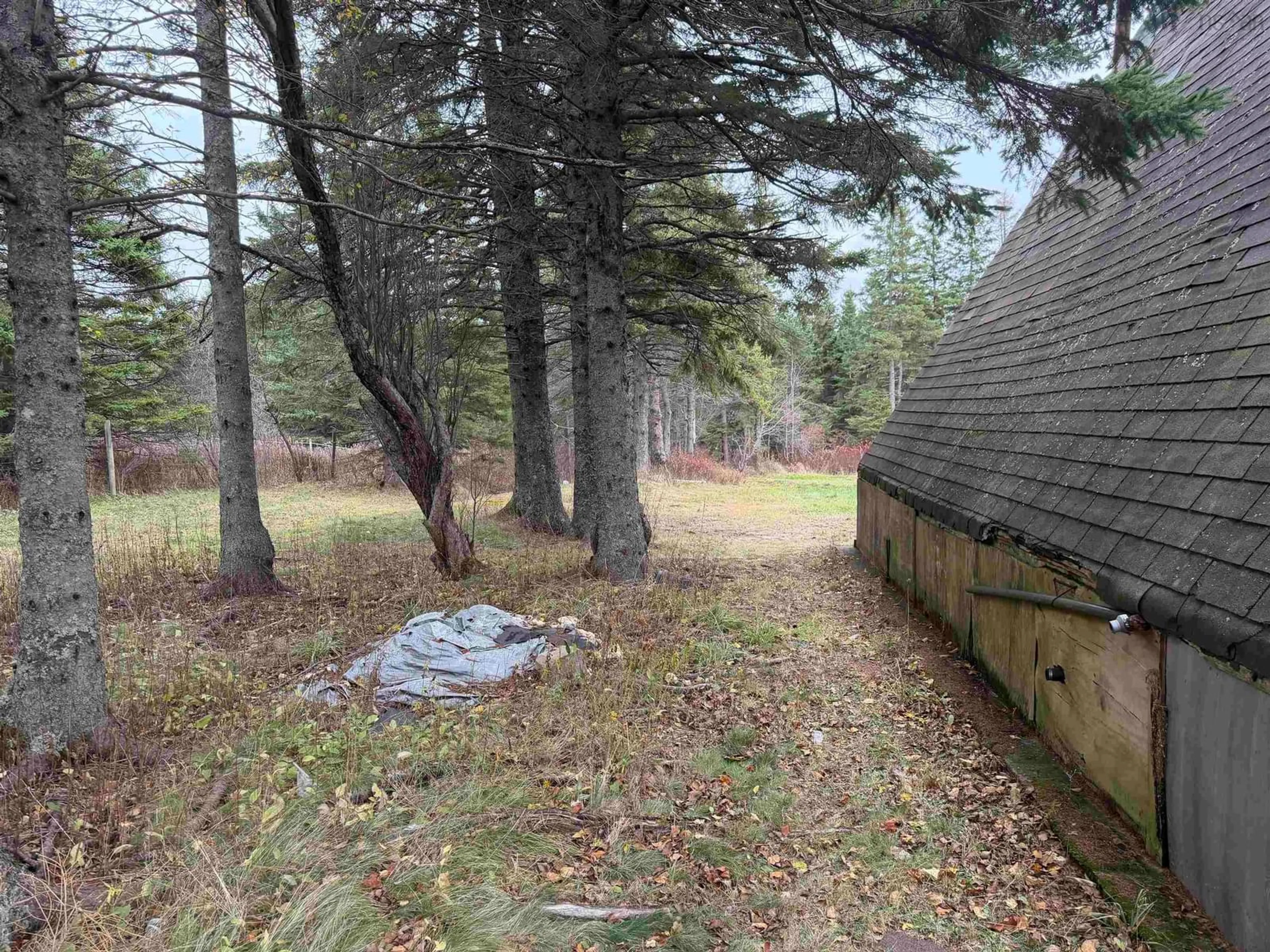 Shed for 331 E. Fraser Rd, White Hill Nova Scotia B0K 1C0