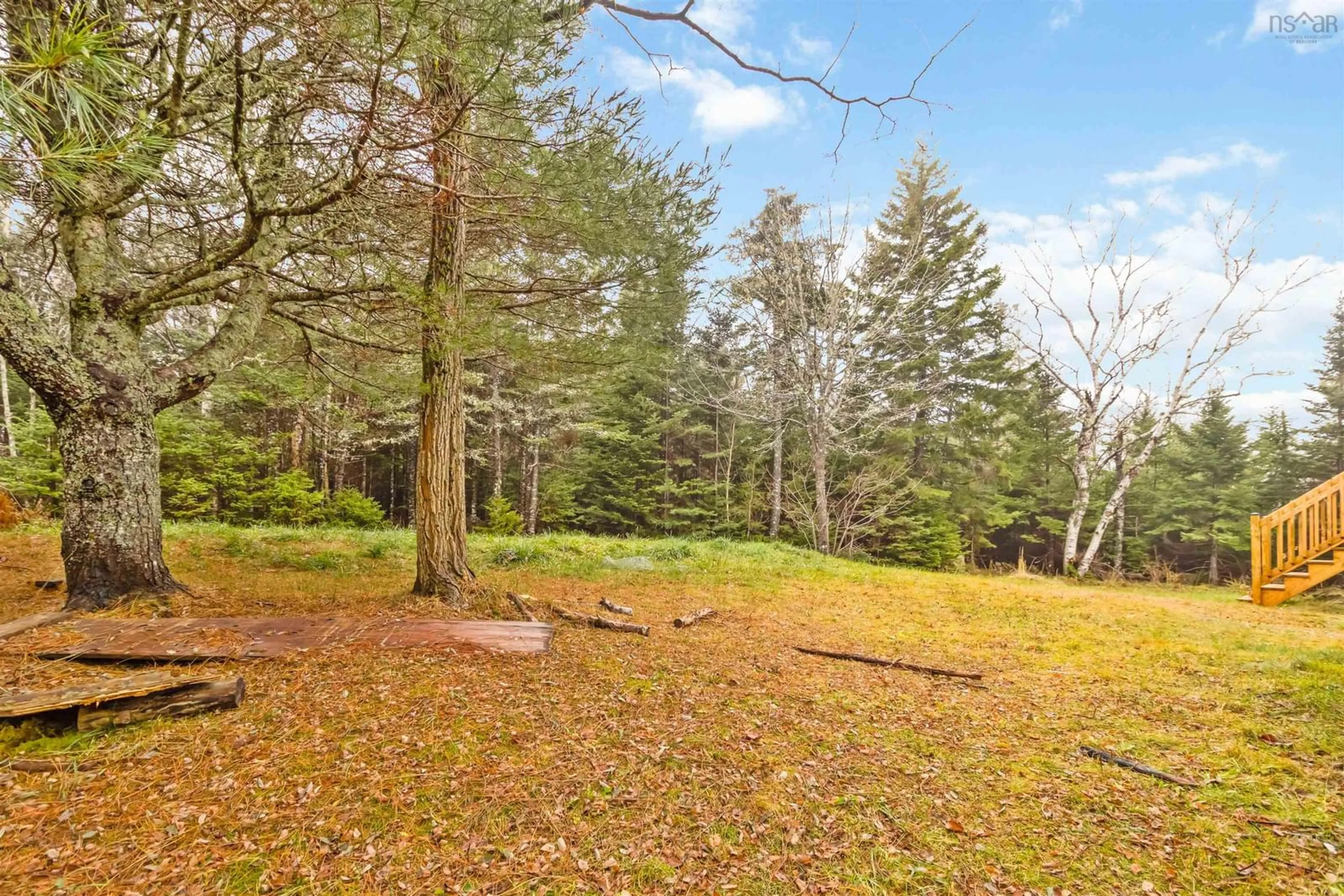 Patio, forest/trees view for 3728 Prospect Rd, Shad Bay Nova Scotia B3T 2B4