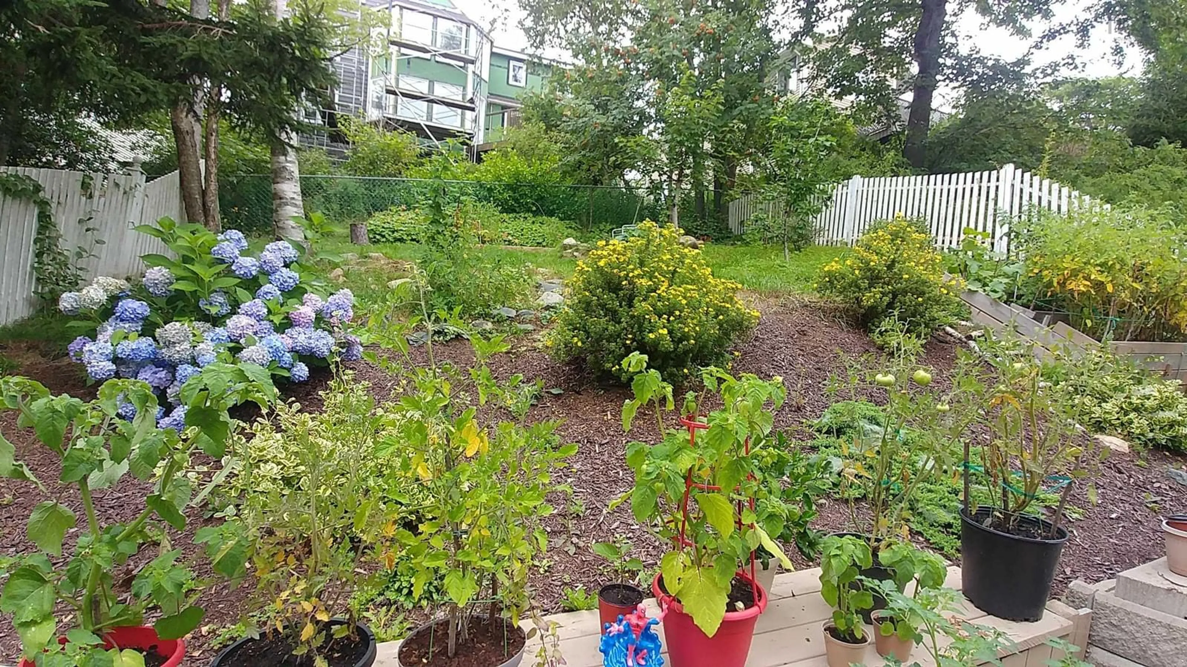 Patio, forest/trees view for 52 Regal Rd, Dartmouth Nova Scotia B2W 4H6